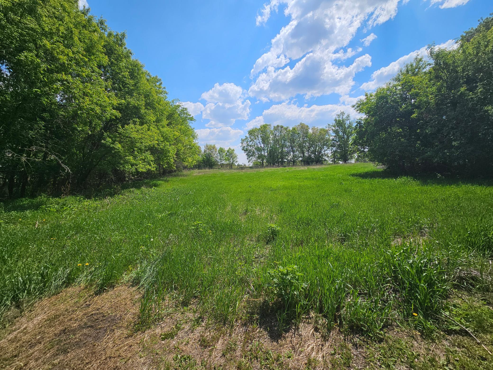 23304 State Hwy 29, Henning MN 56551 - Photo 51 of 86