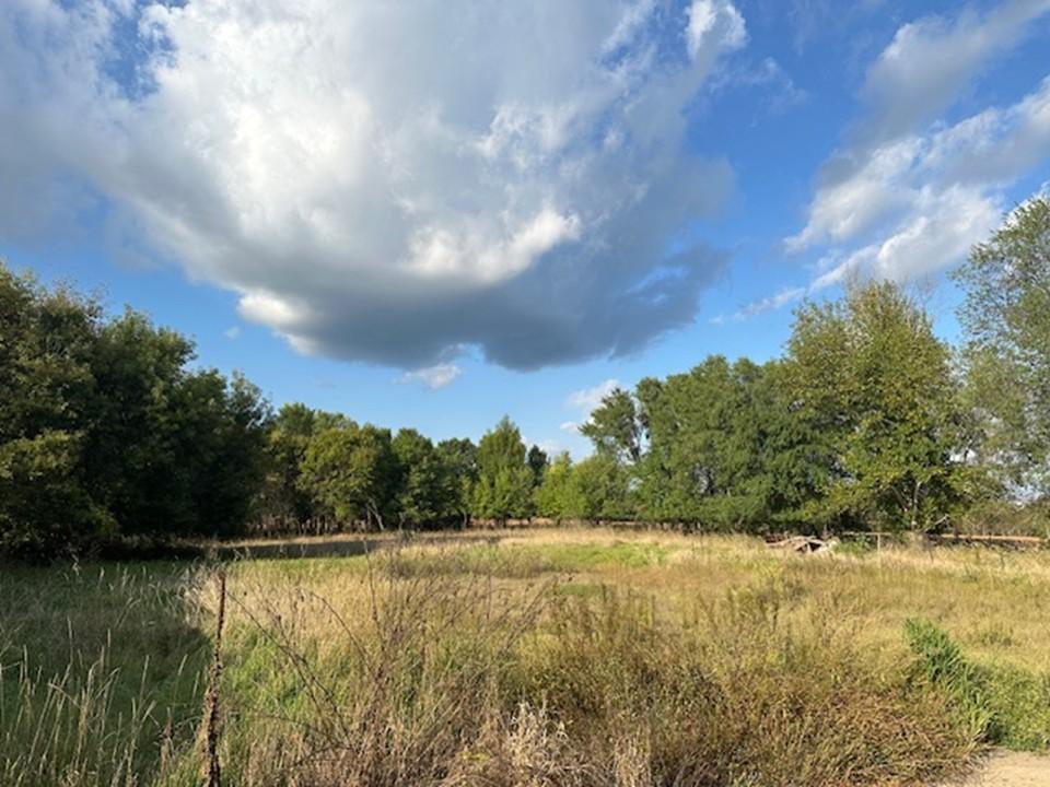23304 State Hwy 29, Henning MN 56551 - Photo 60 of 86