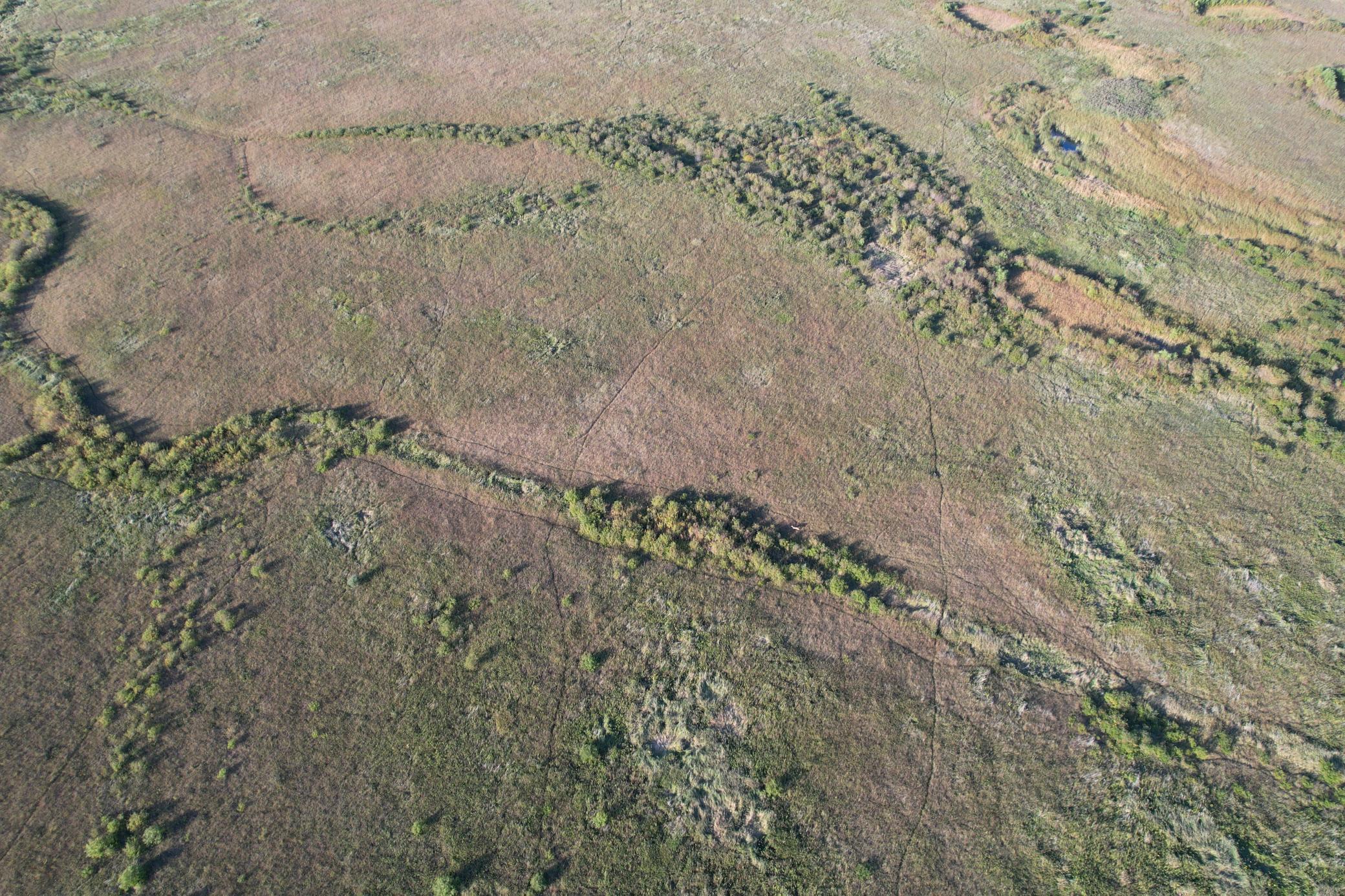 land for sale at TBD 340th Street in Ogema, MN (photo 11 of 76)