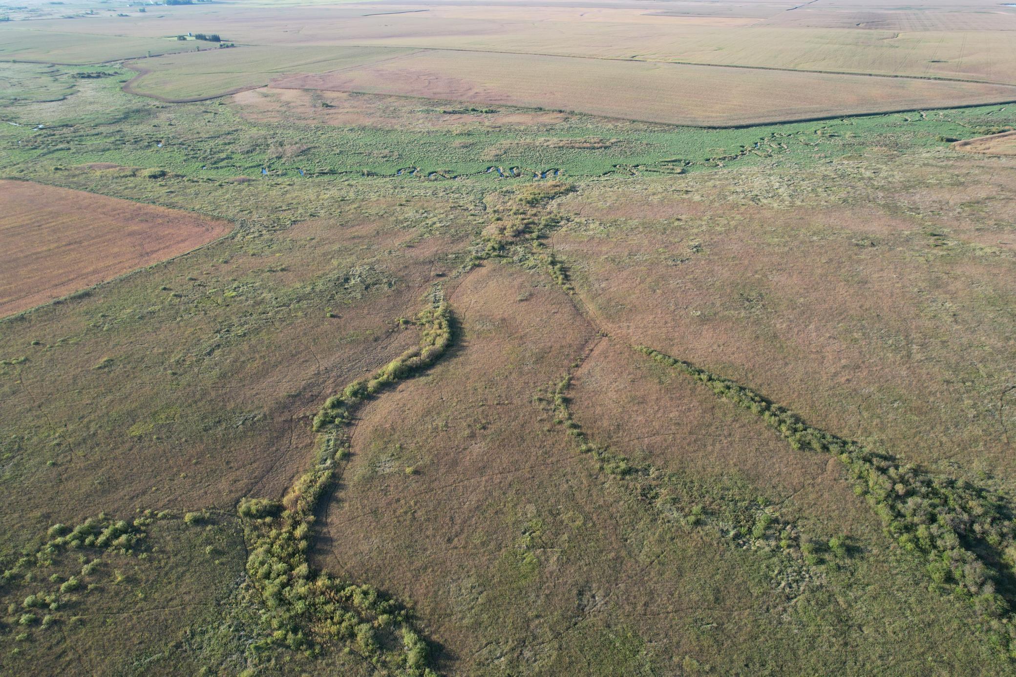 land for sale at TBD 340th Street in Ogema, MN (photo 12 of 76)