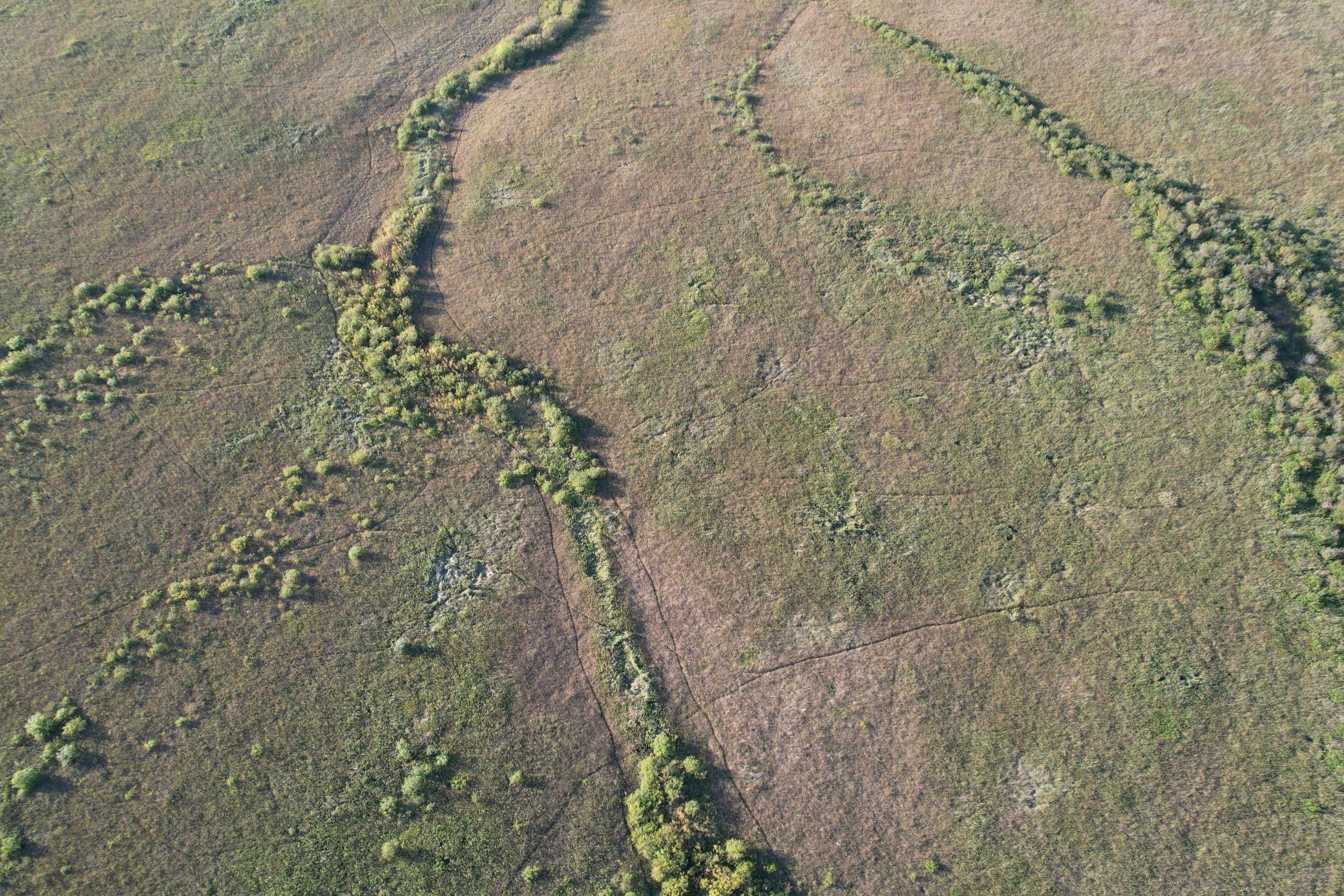 land for sale at TBD 340th Street in Ogema, MN (photo 13 of 76)