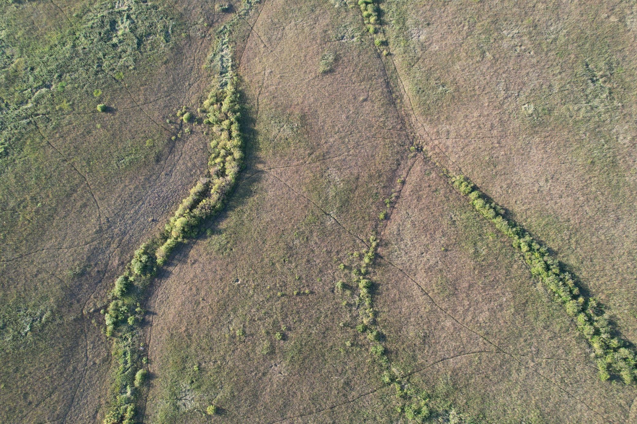 land for sale at TBD 340th Street in Ogema, MN (photo 15 of 76)