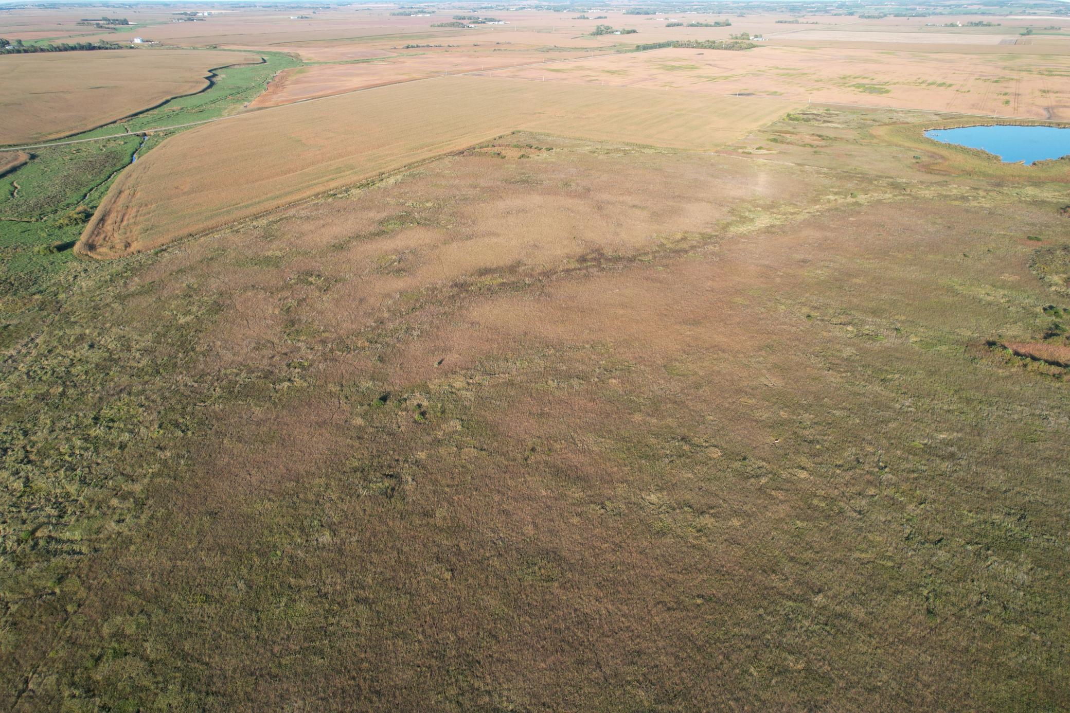 land for sale at TBD 340th Street in Ogema, MN (photo 16 of 76)