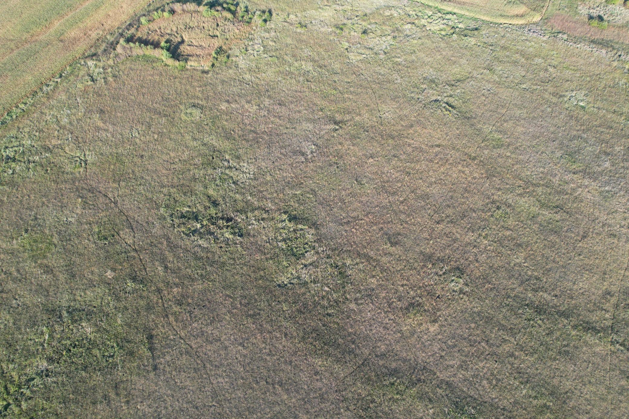 land for sale at TBD 340th Street in Ogema, MN (photo 18 of 76)