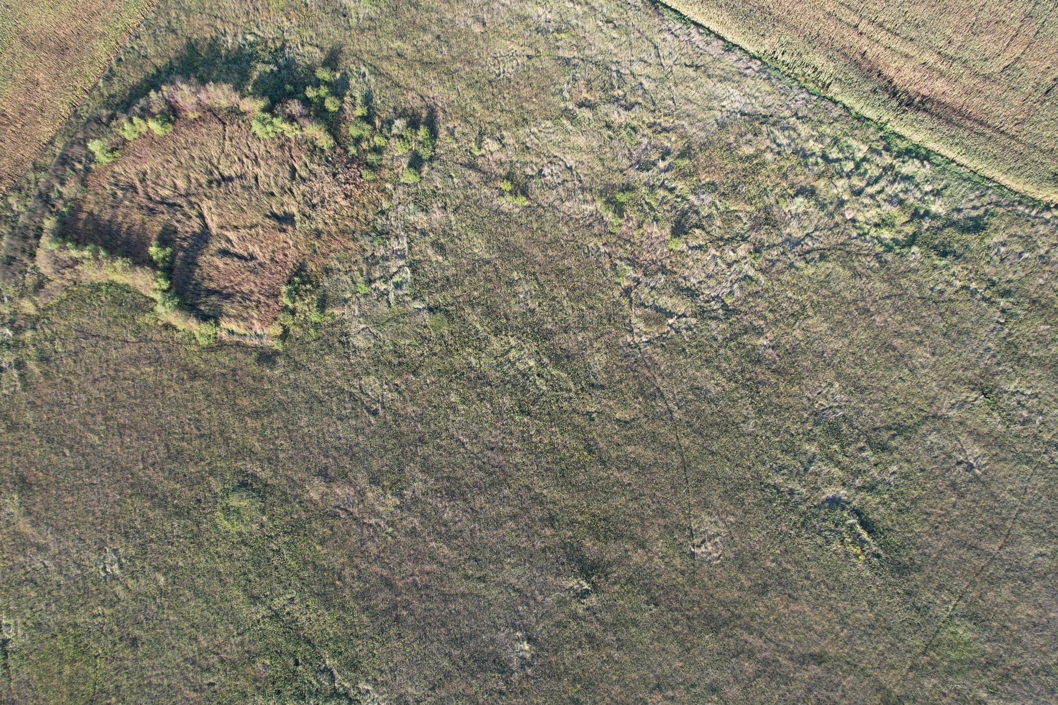 land for sale at TBD 340th Street in Ogema, MN (photo 19 of 76)