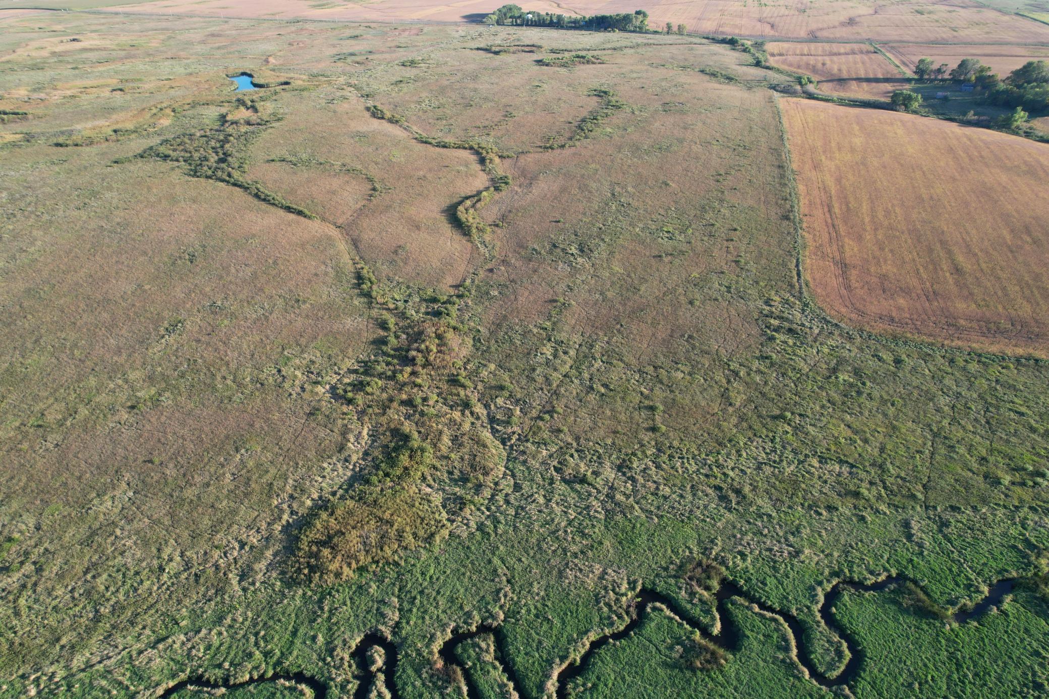 land for sale at TBD 340th Street in Ogema, MN (photo 31 of 76)