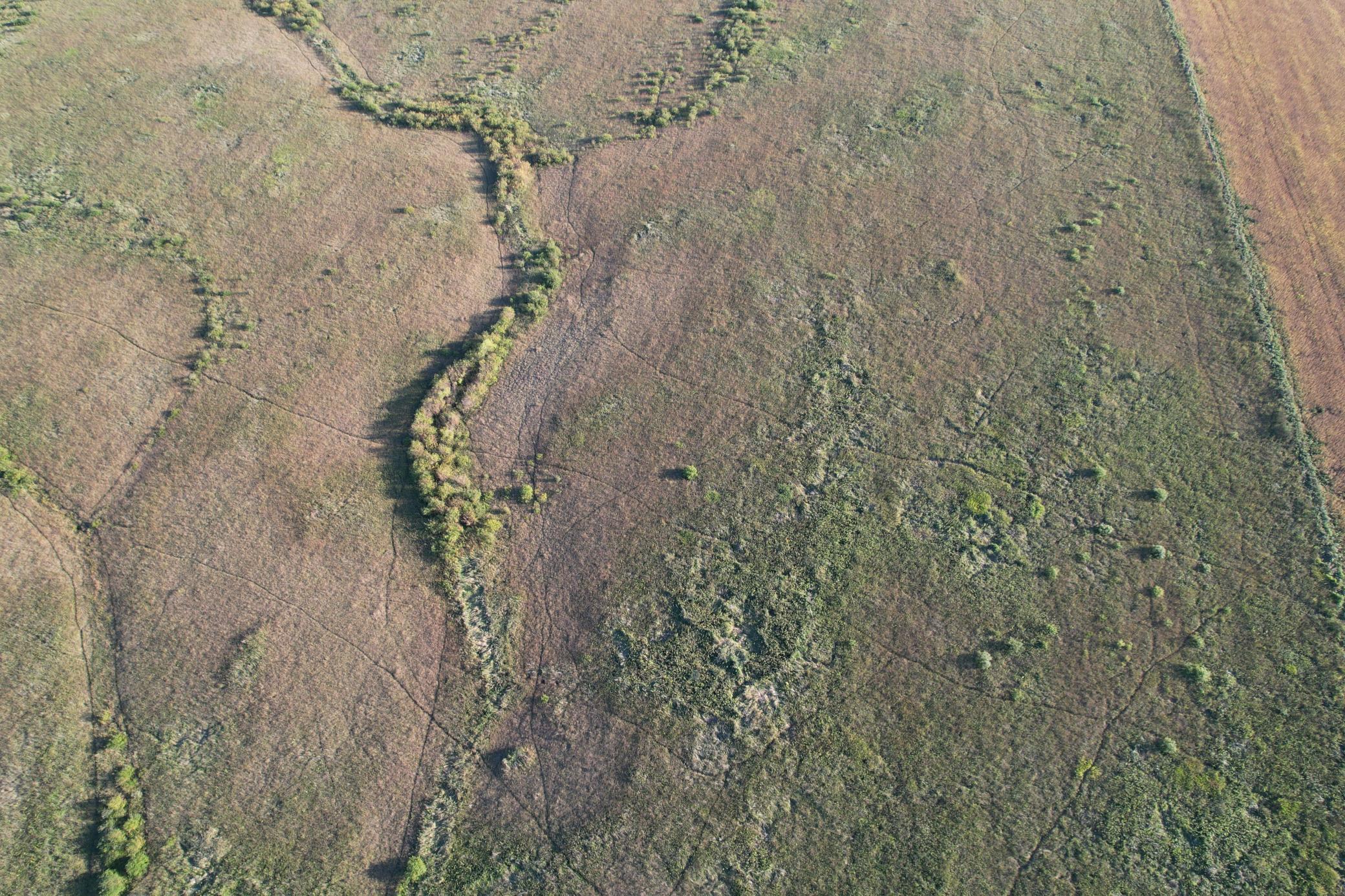 land for sale at TBD 340th Street in Ogema, MN (photo 32 of 76)