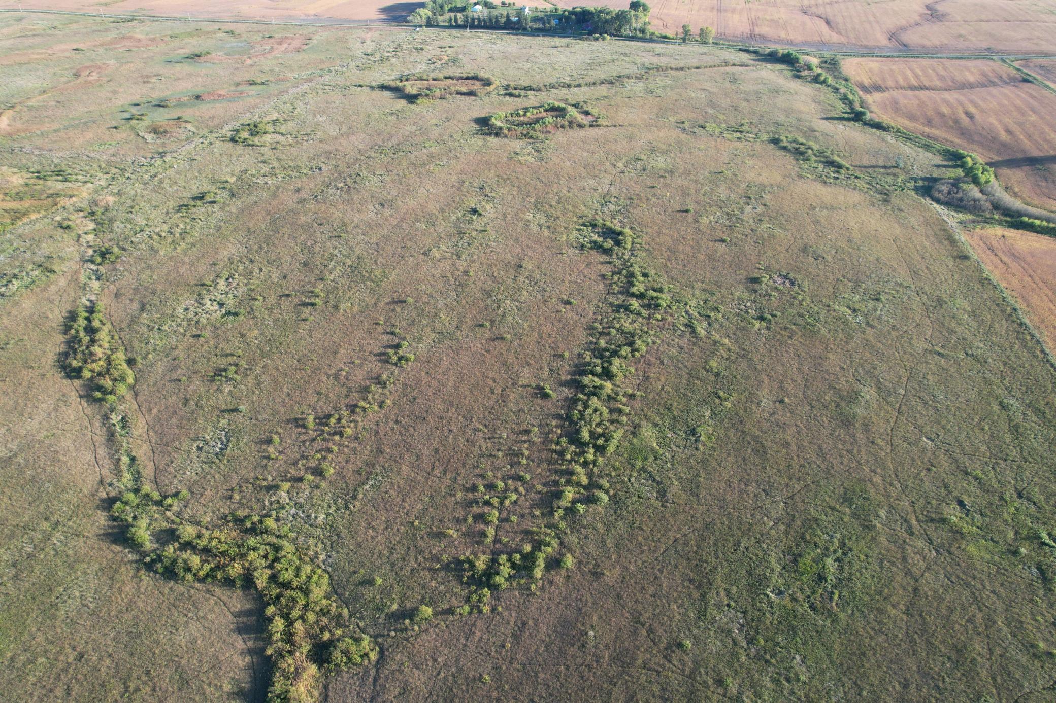 land for sale at TBD 340th Street in Ogema, MN (photo 33 of 76)