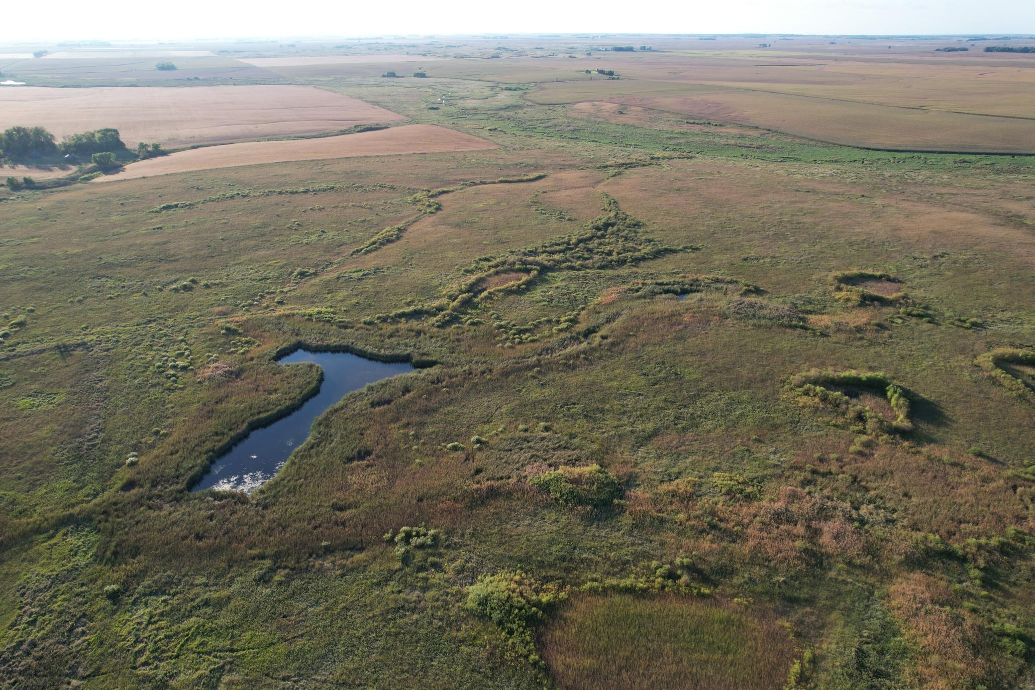land for sale at TBD 340th Street in Ogema, MN (photo 39 of 76)
