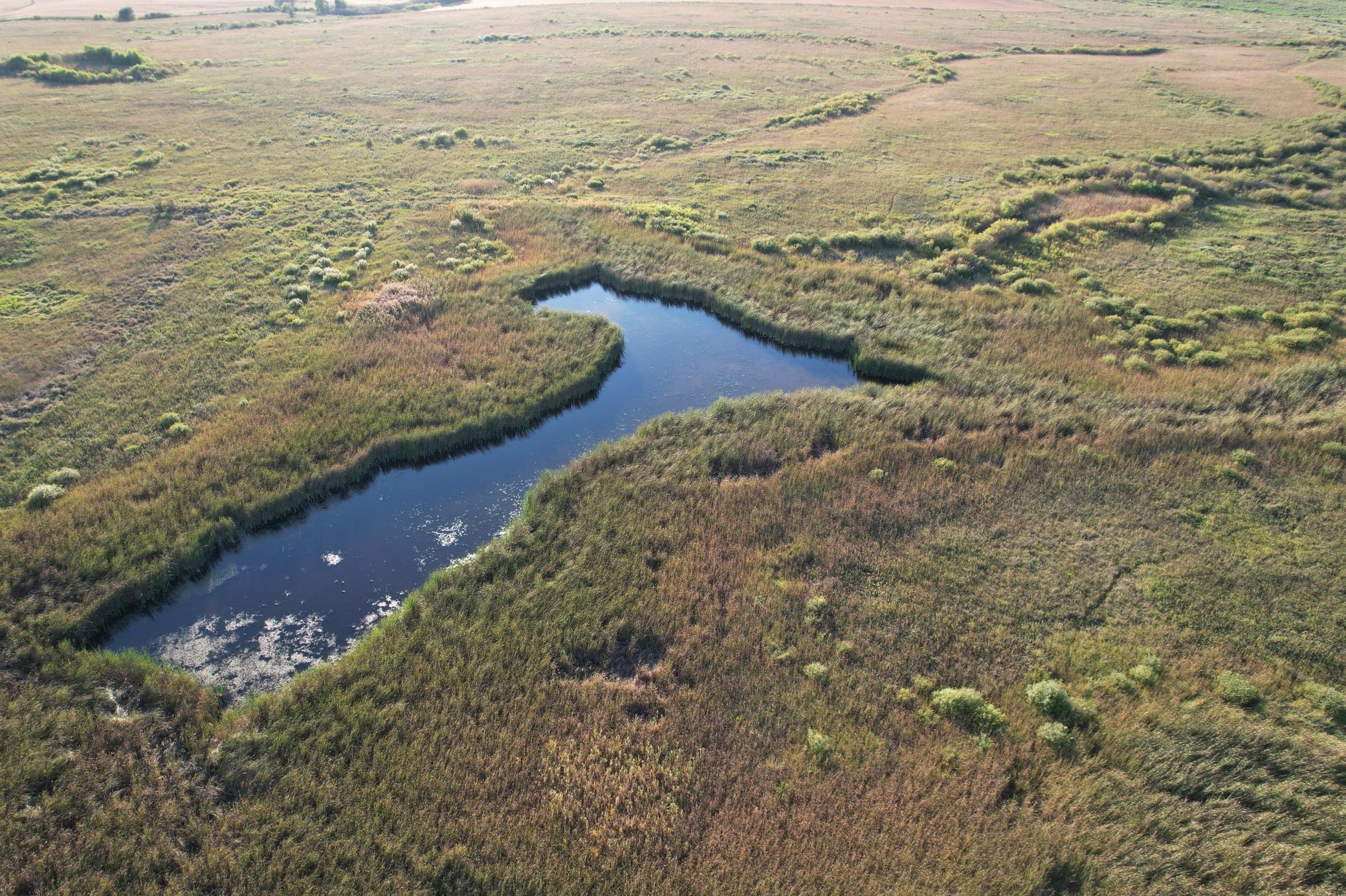 land for sale at TBD 340th Street in Ogema, MN (photo 40 of 76)
