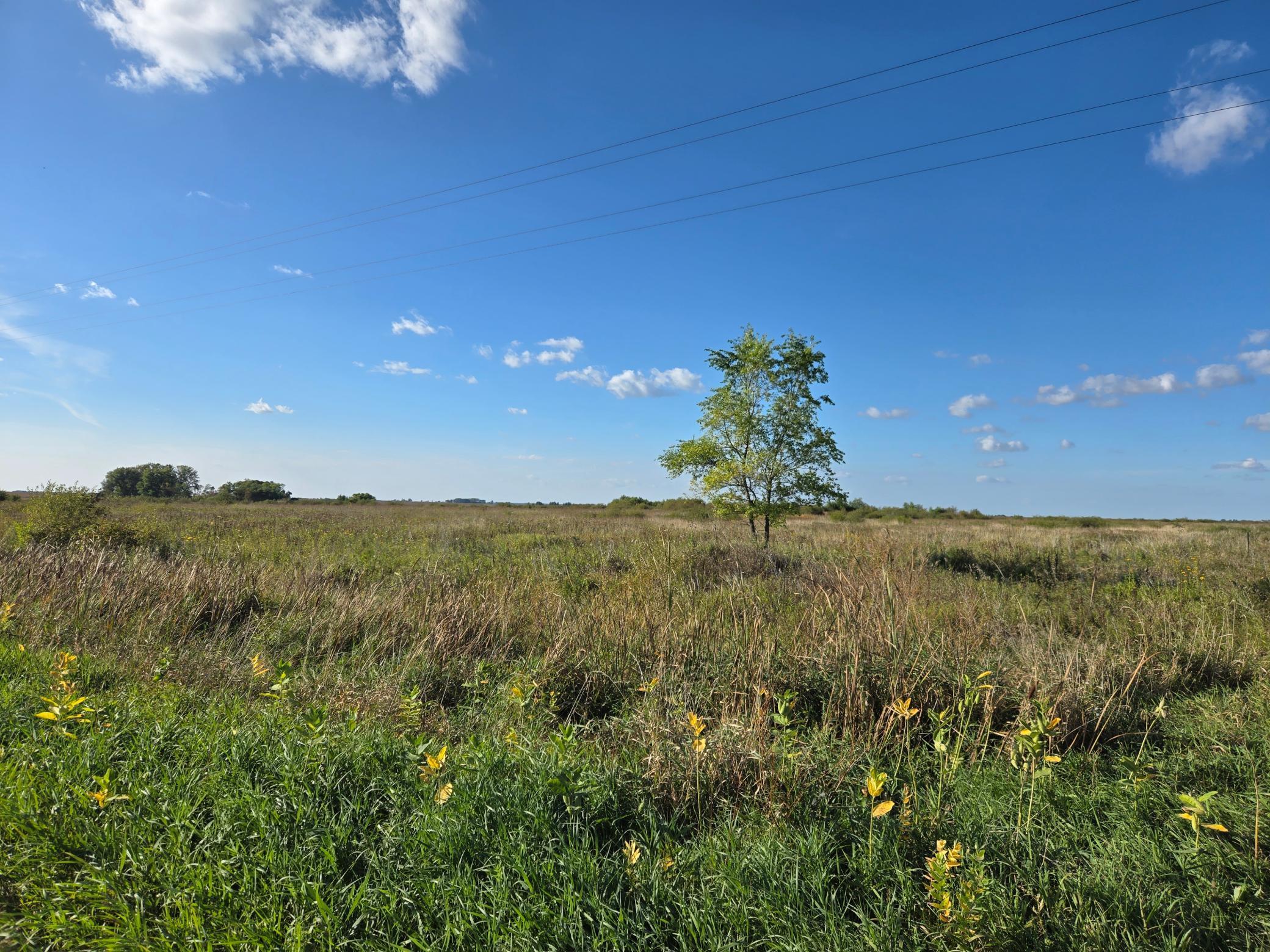 land for sale at TBD 340th Street in Ogema, MN (photo 41 of 76)