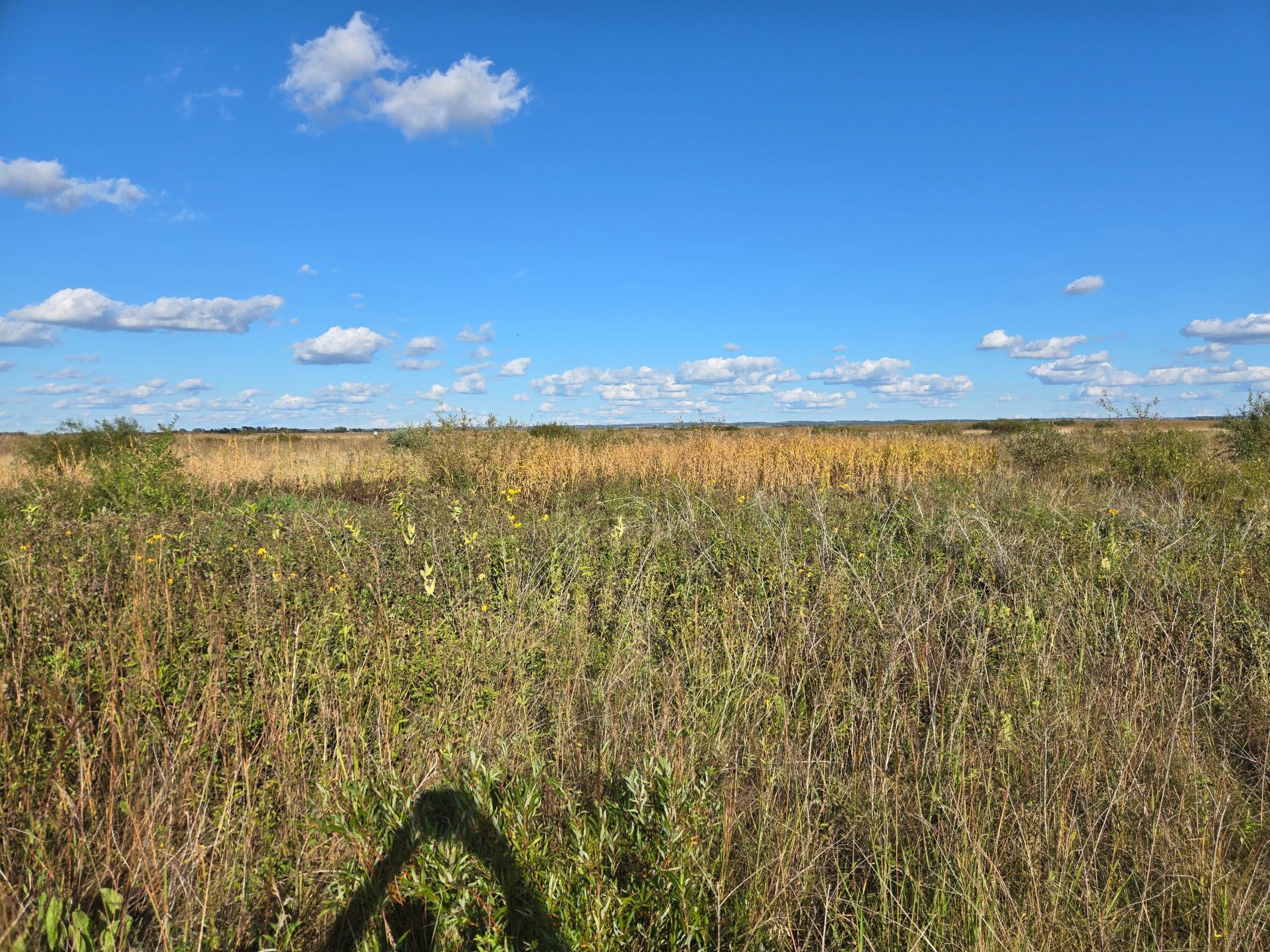 land for sale at TBD 340th Street in Ogema, MN (photo 44 of 76)