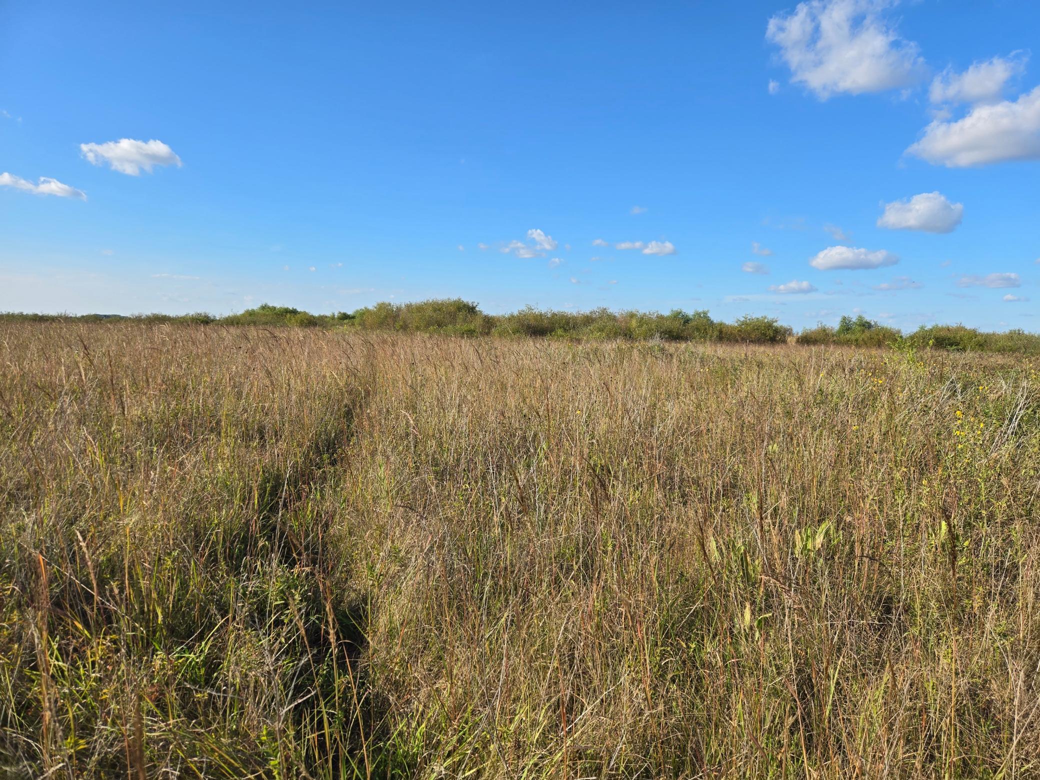 land for sale at TBD 340th Street in Ogema, MN (photo 45 of 76)