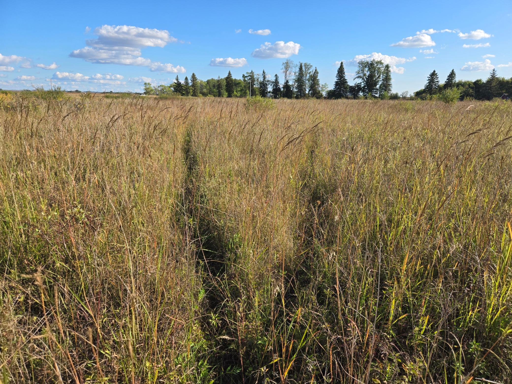 land for sale at TBD 340th Street in Ogema, MN (photo 46 of 76)