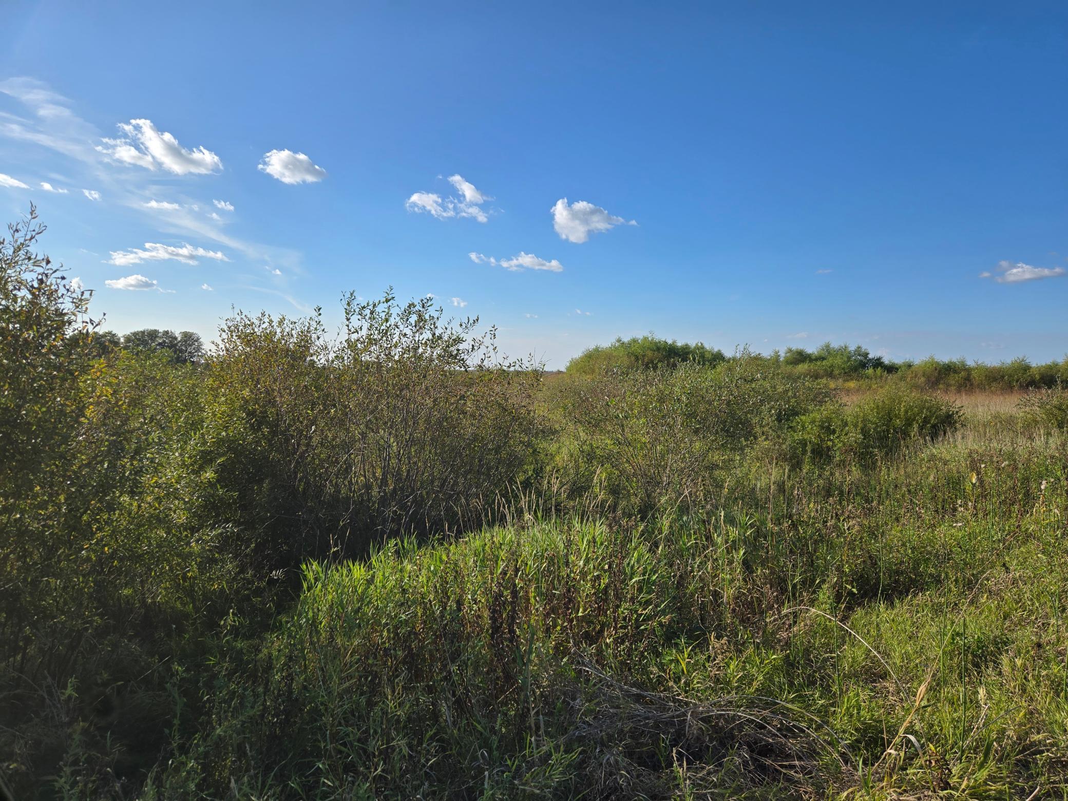 land for sale at TBD 340th Street in Ogema, MN (photo 47 of 76)