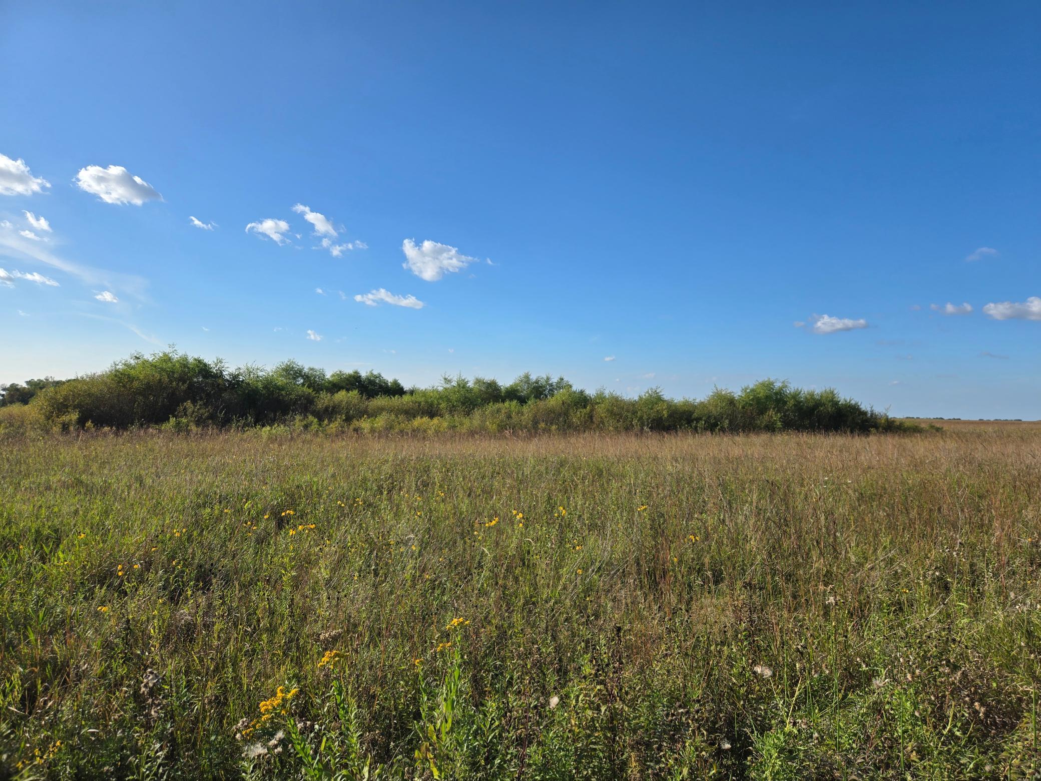 land for sale at TBD 340th Street in Ogema, MN (photo 48 of 76)