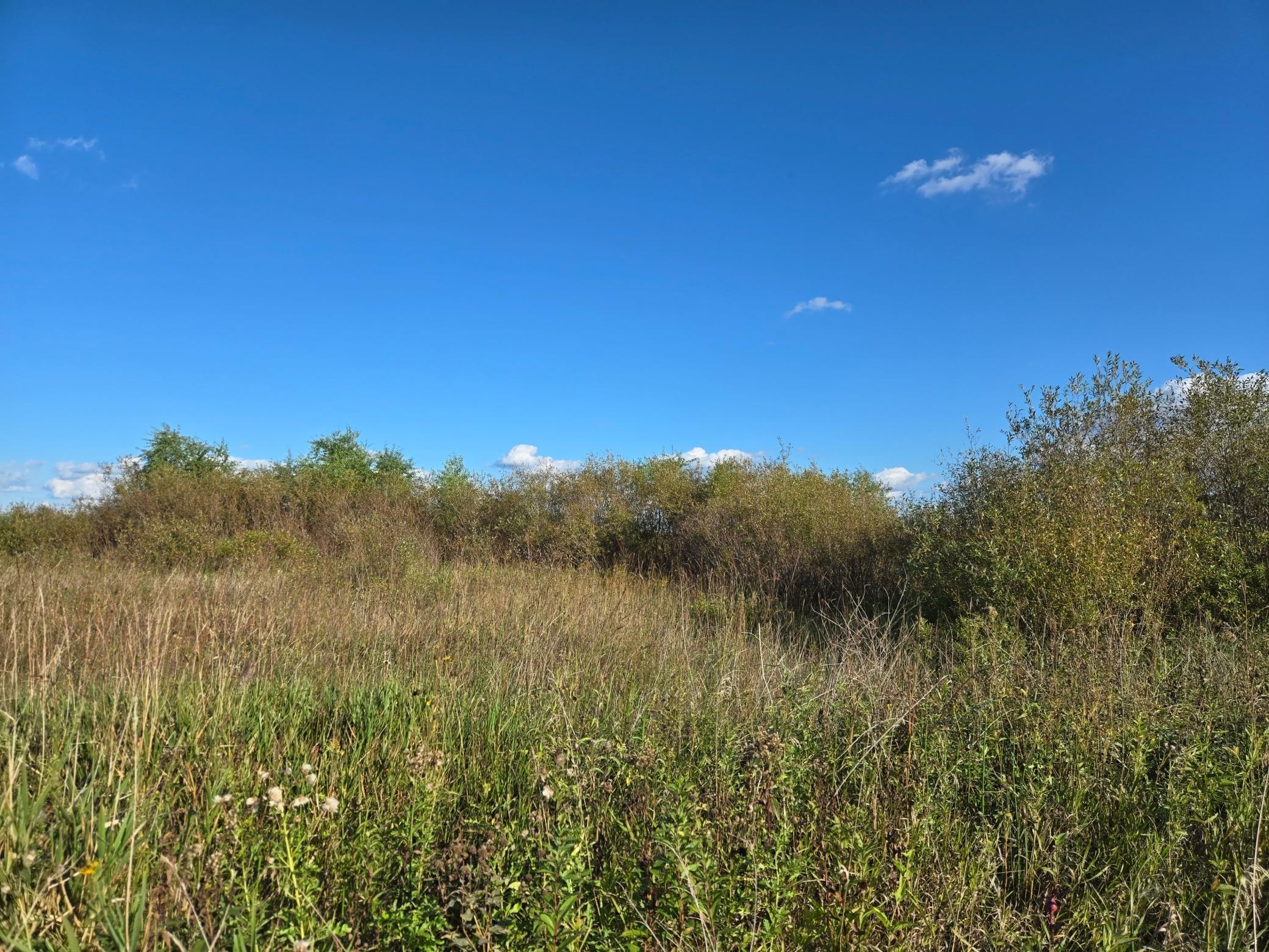 land for sale at TBD 340th Street in Ogema, MN (photo 49 of 76)