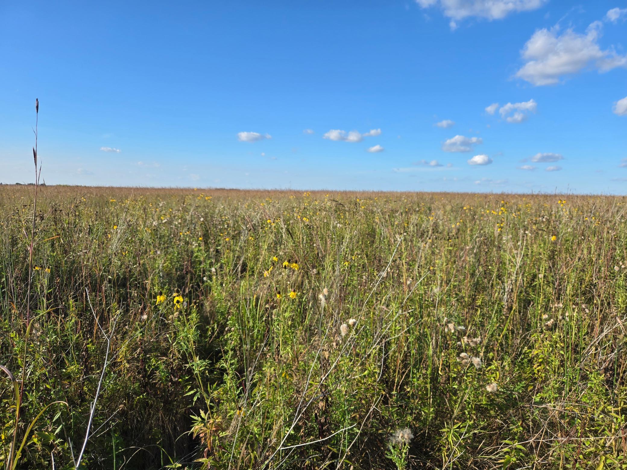 land for sale at TBD 340th Street in Ogema, MN (photo 50 of 76)