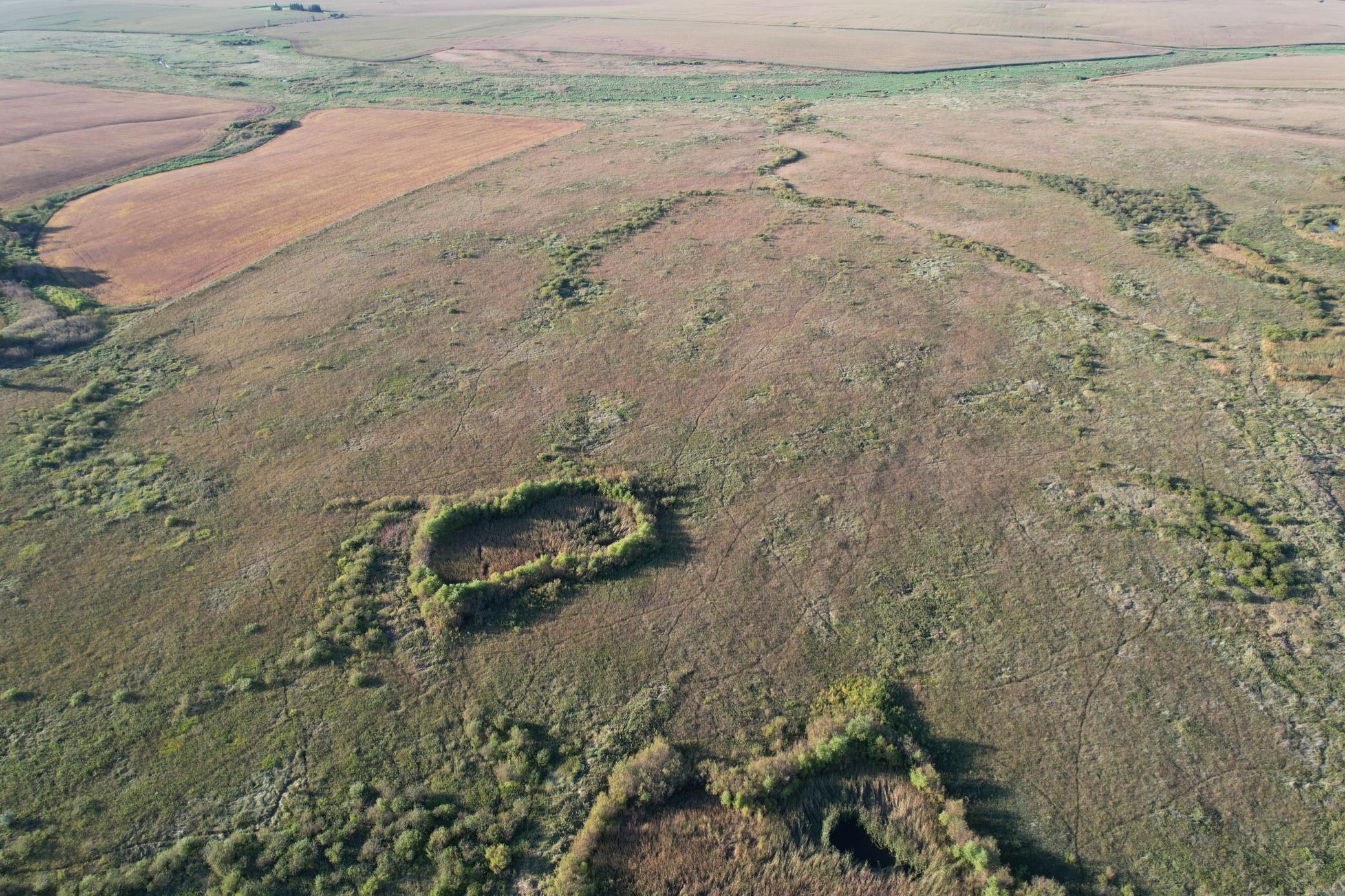 land for sale at TBD 340th Street in Ogema, MN (photo 6 of 76)