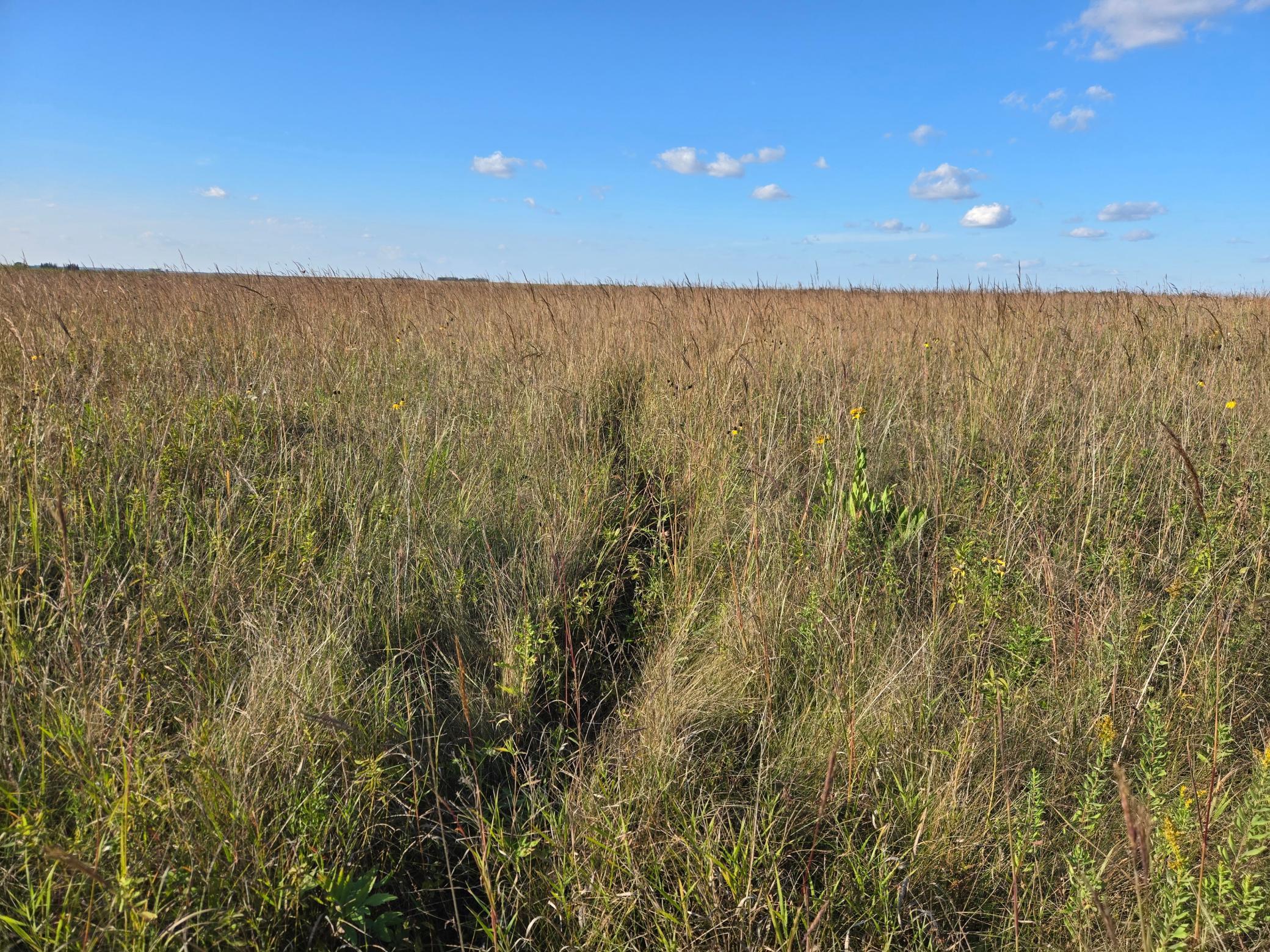 land for sale at TBD 340th Street in Ogema, MN (photo 51 of 76)