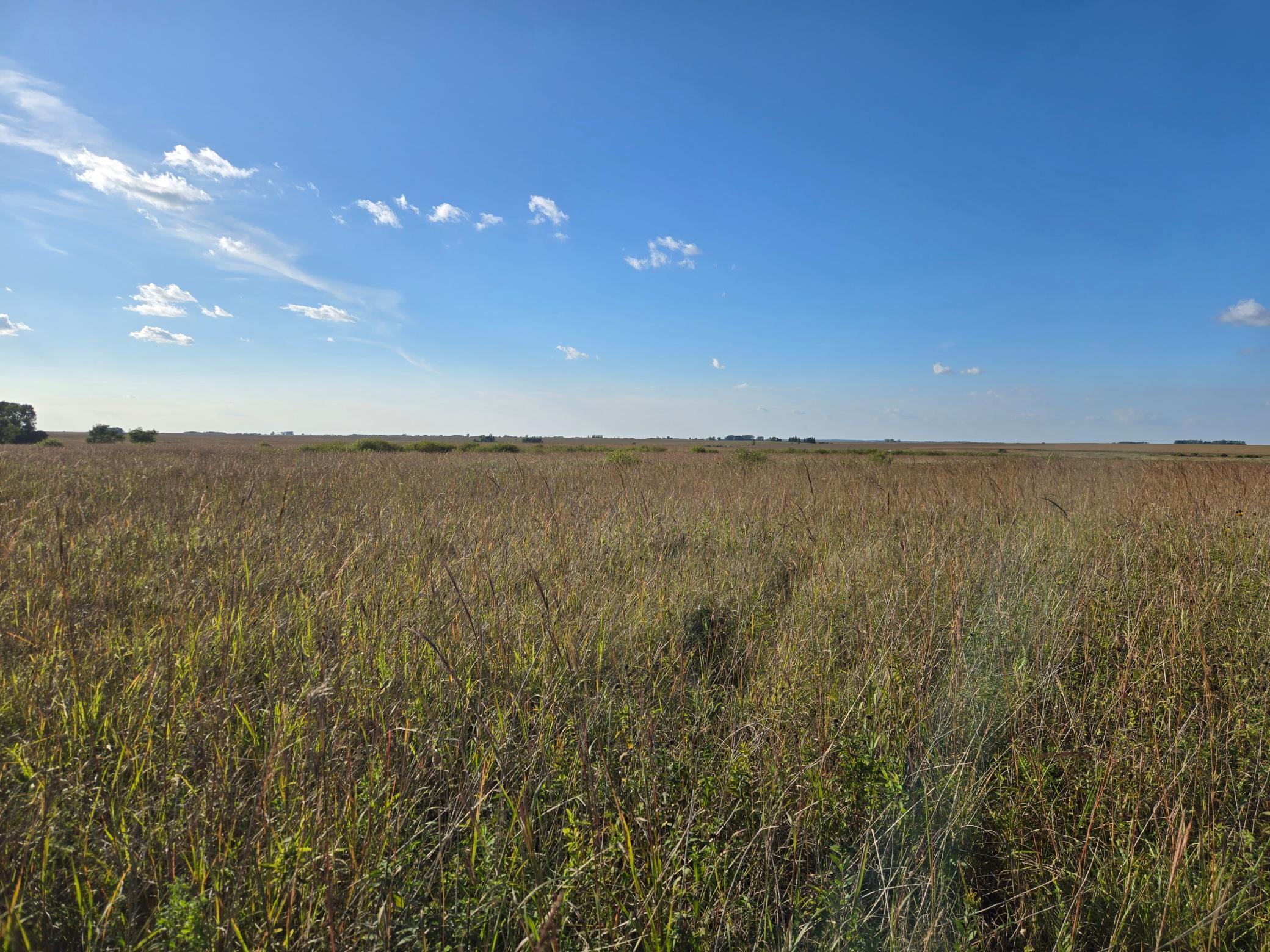 land for sale at TBD 340th Street in Ogema, MN (photo 52 of 76)