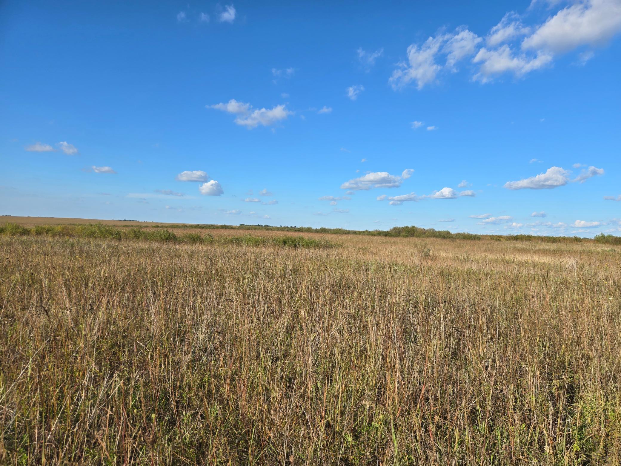 land for sale at TBD 340th Street in Ogema, MN (photo 53 of 76)