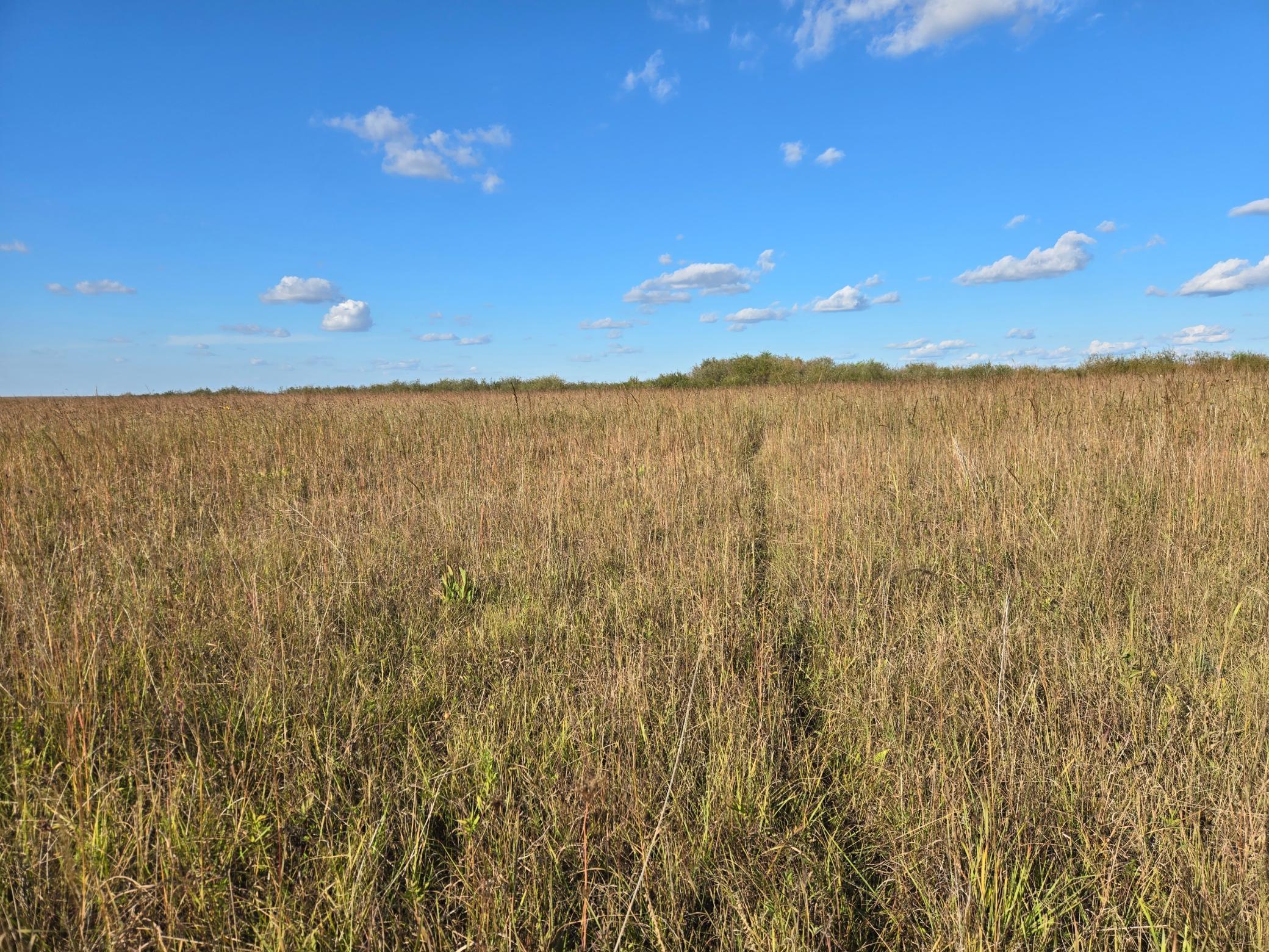 land for sale at TBD 340th Street in Ogema, MN (photo 55 of 76)