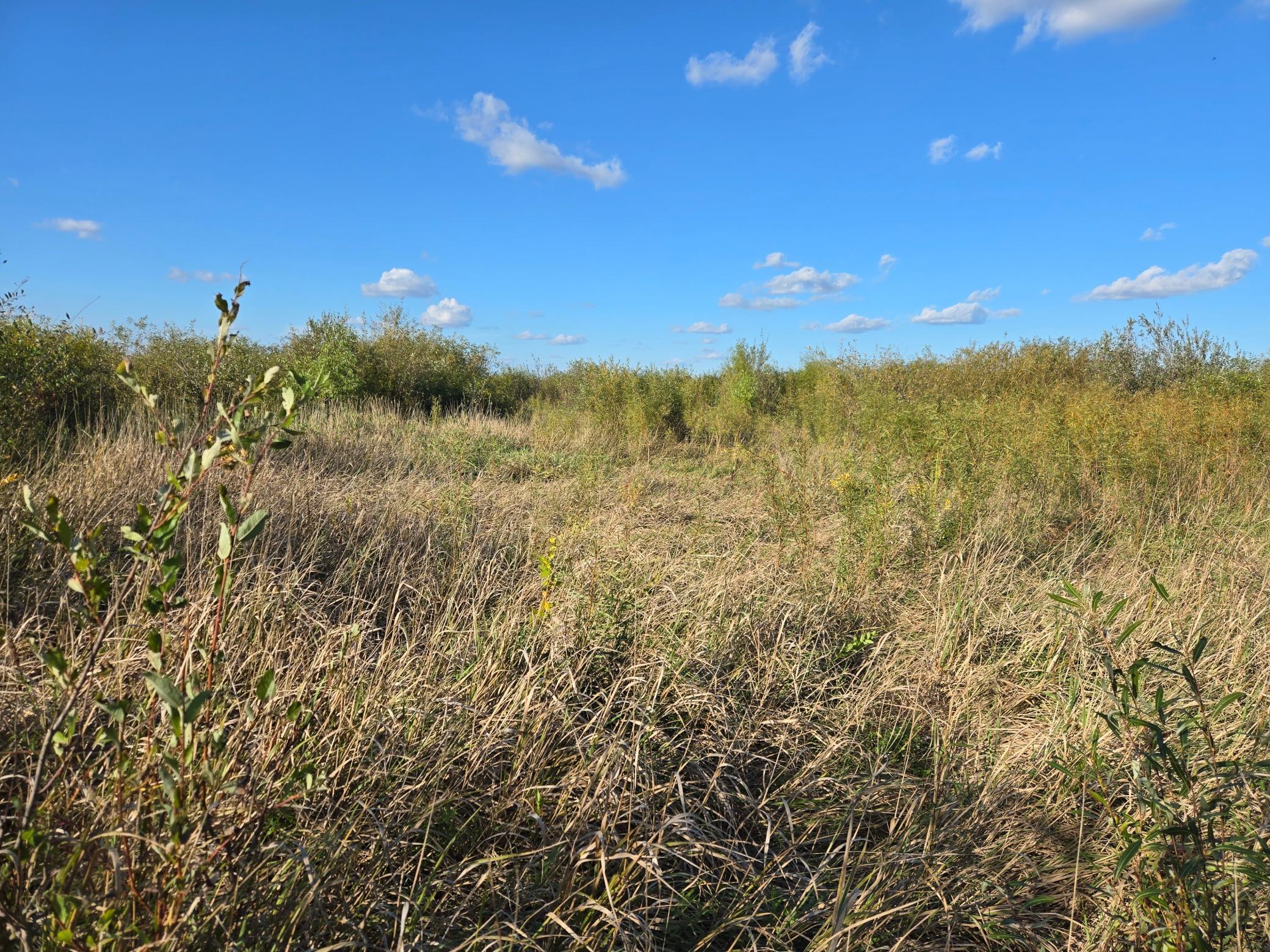 land for sale at TBD 340th Street in Ogema, MN (photo 56 of 76)