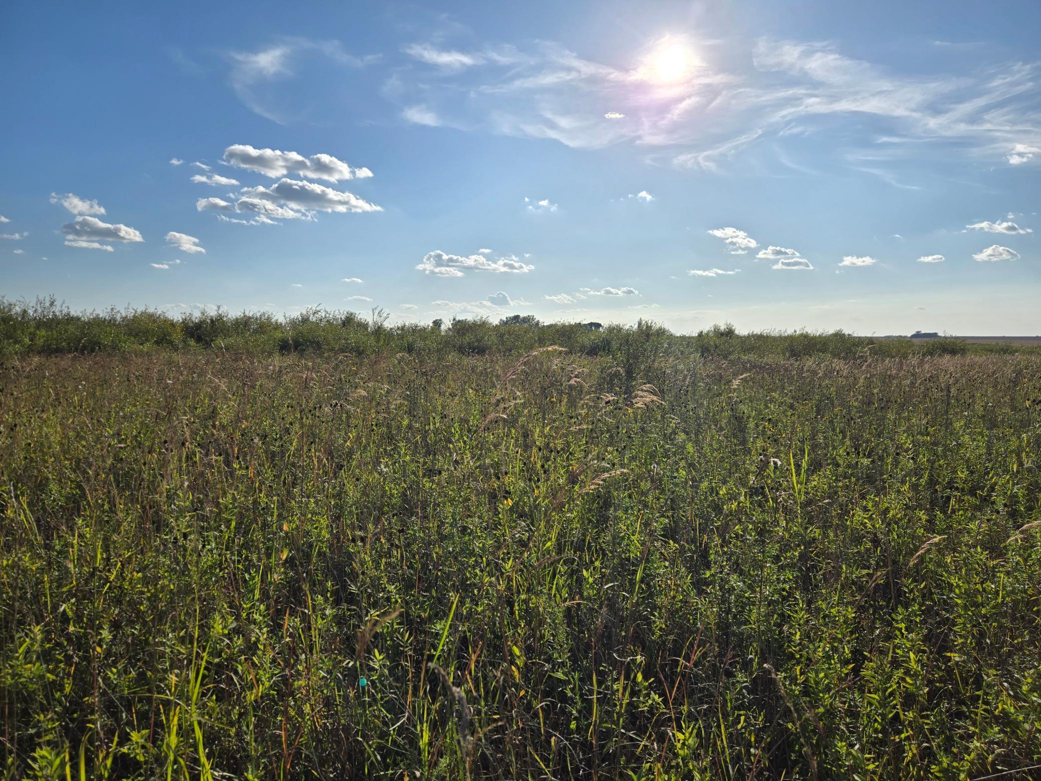land for sale at TBD 340th Street in Ogema, MN (photo 57 of 76)