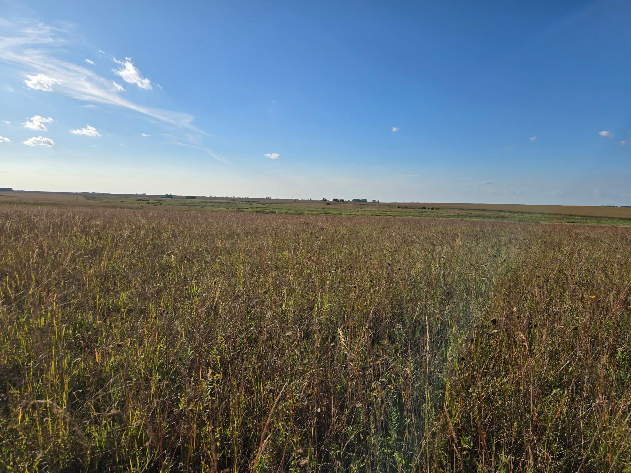 land for sale at TBD 340th Street in Ogema, MN (photo 58 of 76)