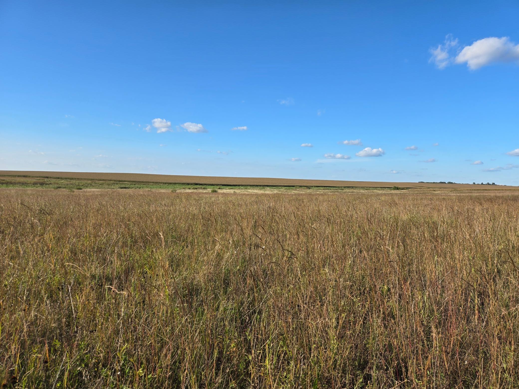 land for sale at TBD 340th Street in Ogema, MN (photo 59 of 76)