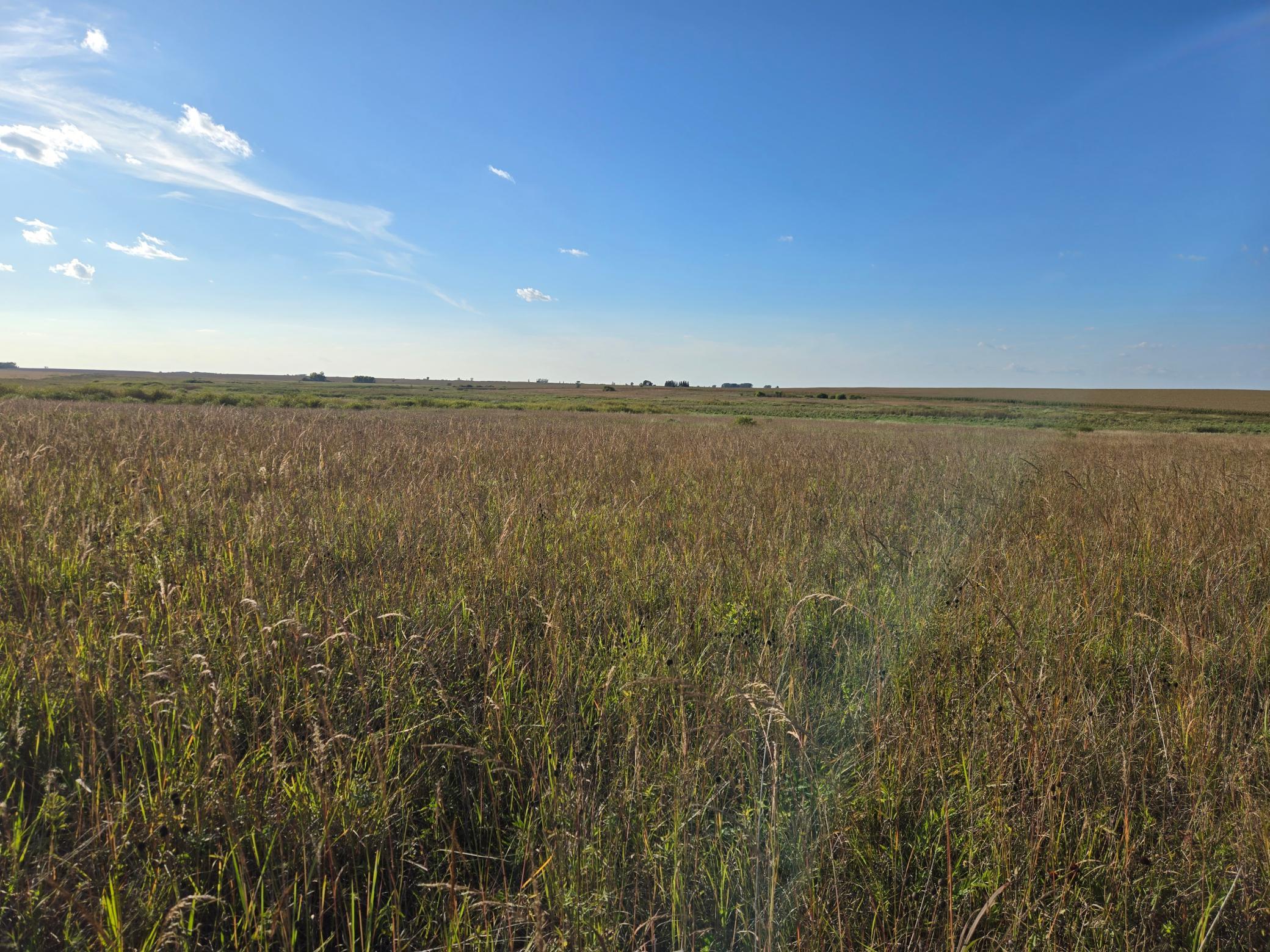 land for sale at TBD 340th Street in Ogema, MN (photo 60 of 76)