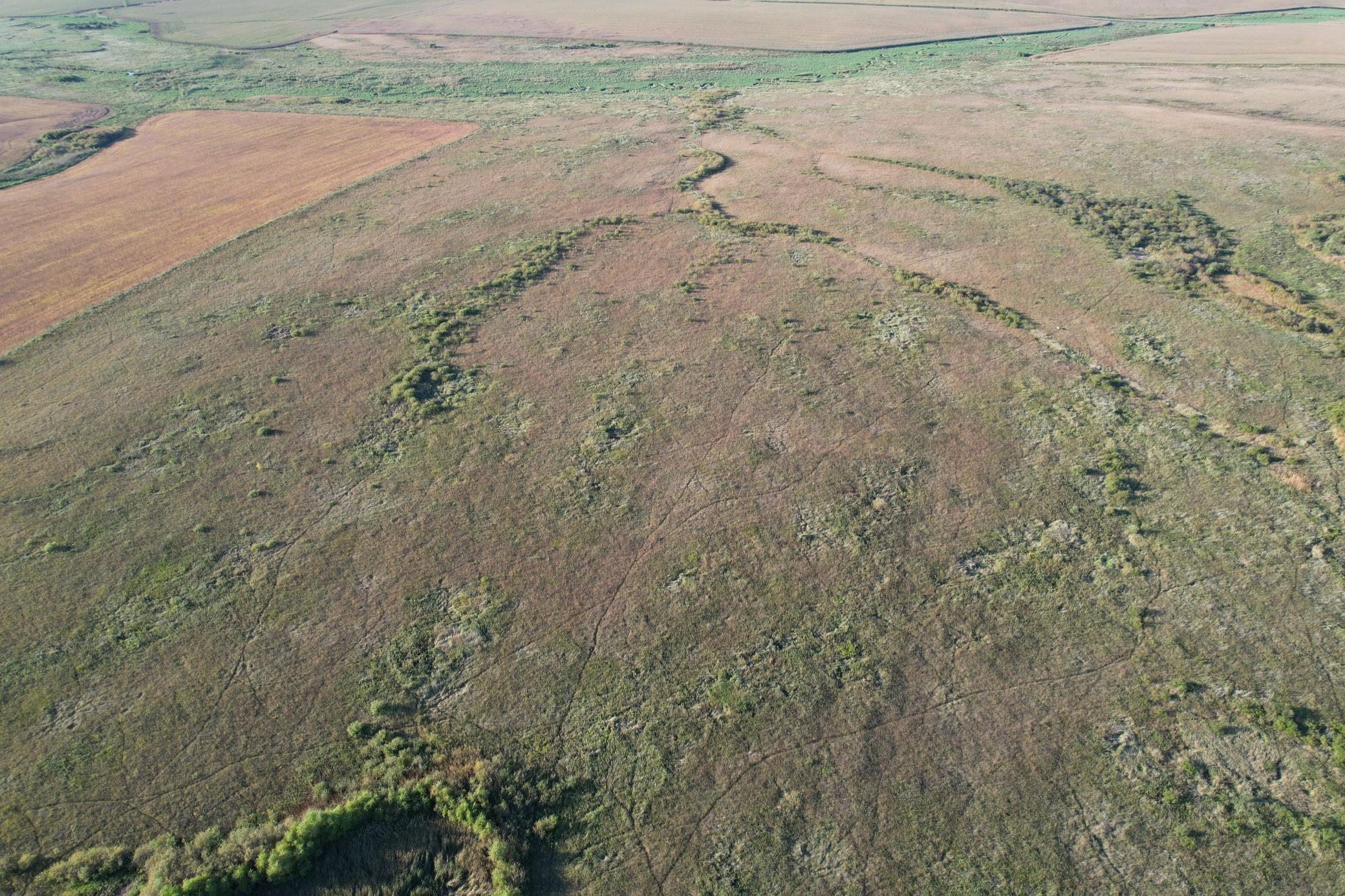 land for sale at TBD 340th Street in Ogema, MN (photo 7 of 76)