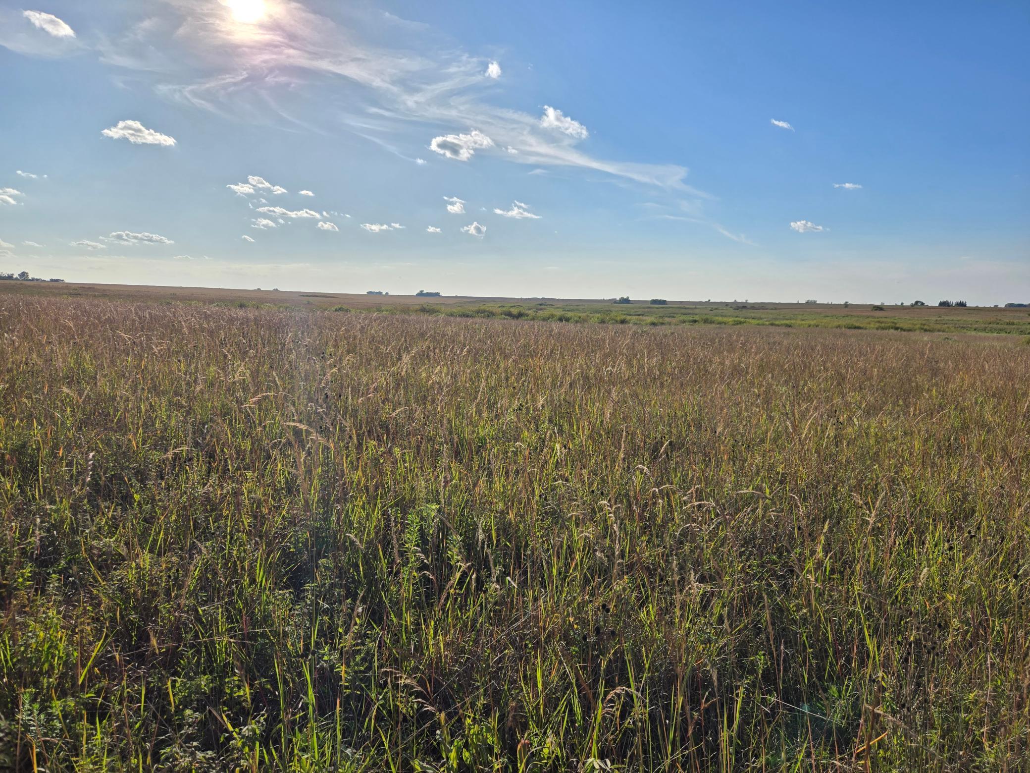 land for sale at TBD 340th Street in Ogema, MN (photo 61 of 76)