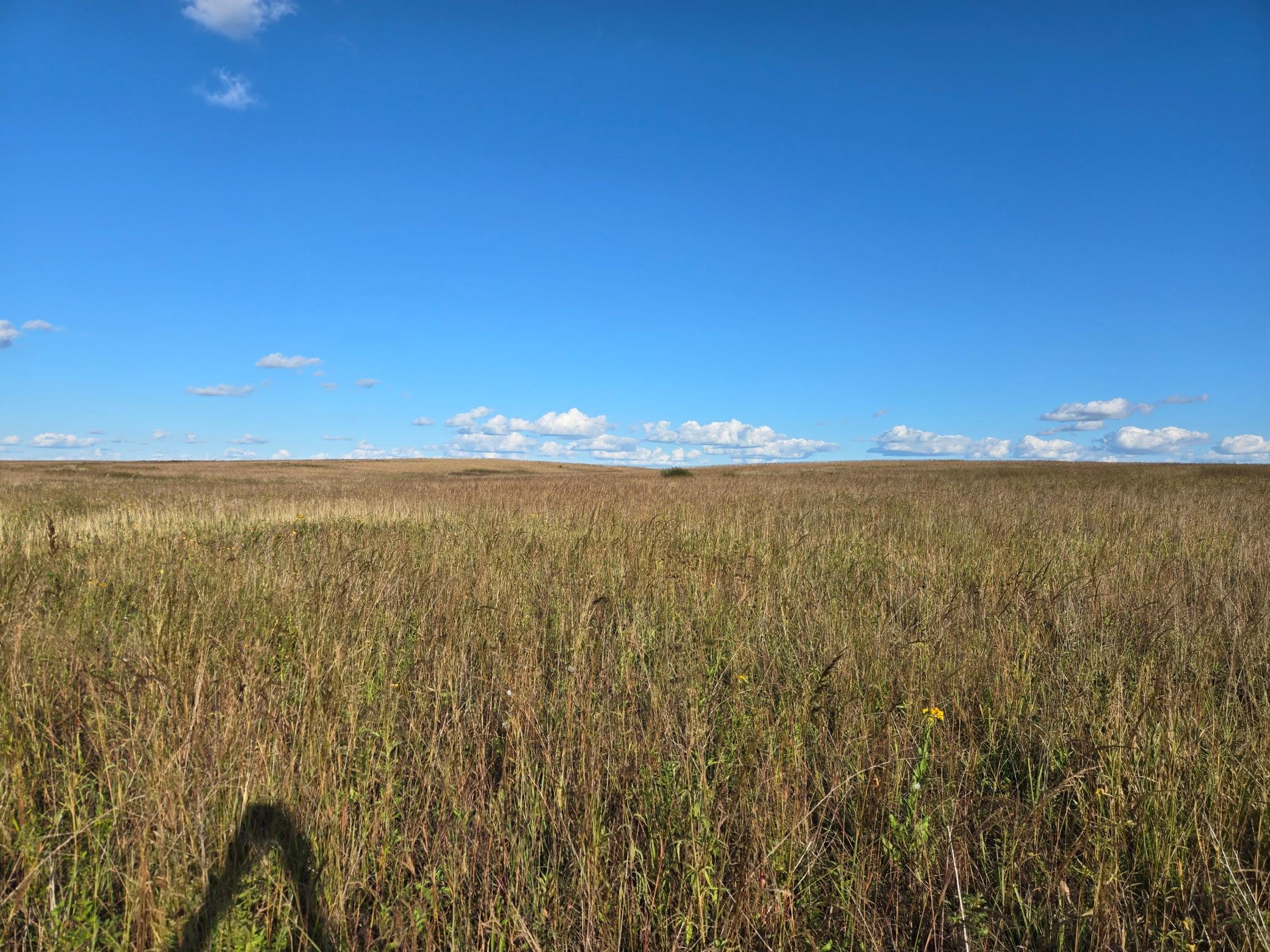 land for sale at TBD 340th Street in Ogema, MN (photo 62 of 76)