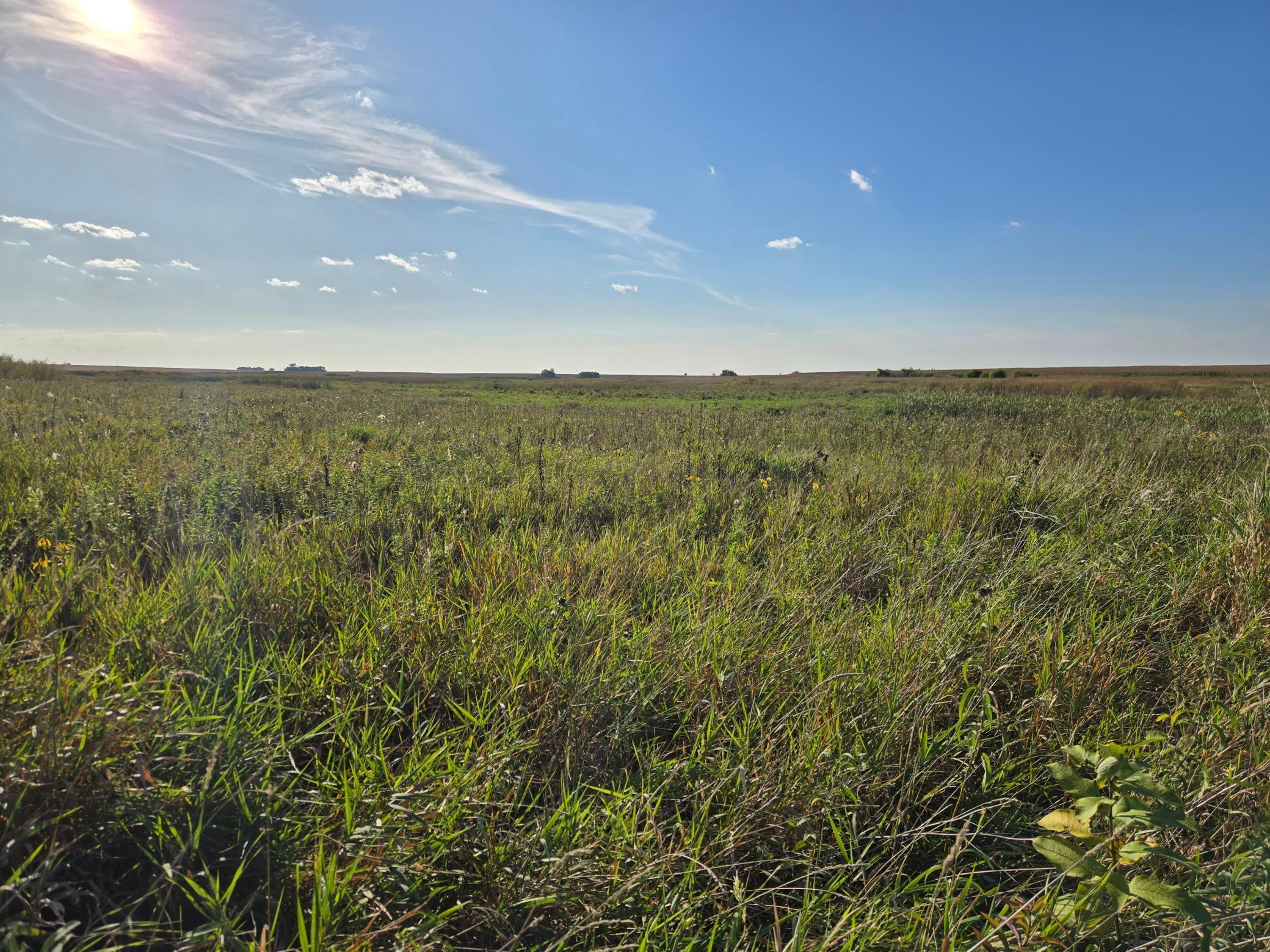 land for sale at TBD 340th Street in Ogema, MN (photo 63 of 76)
