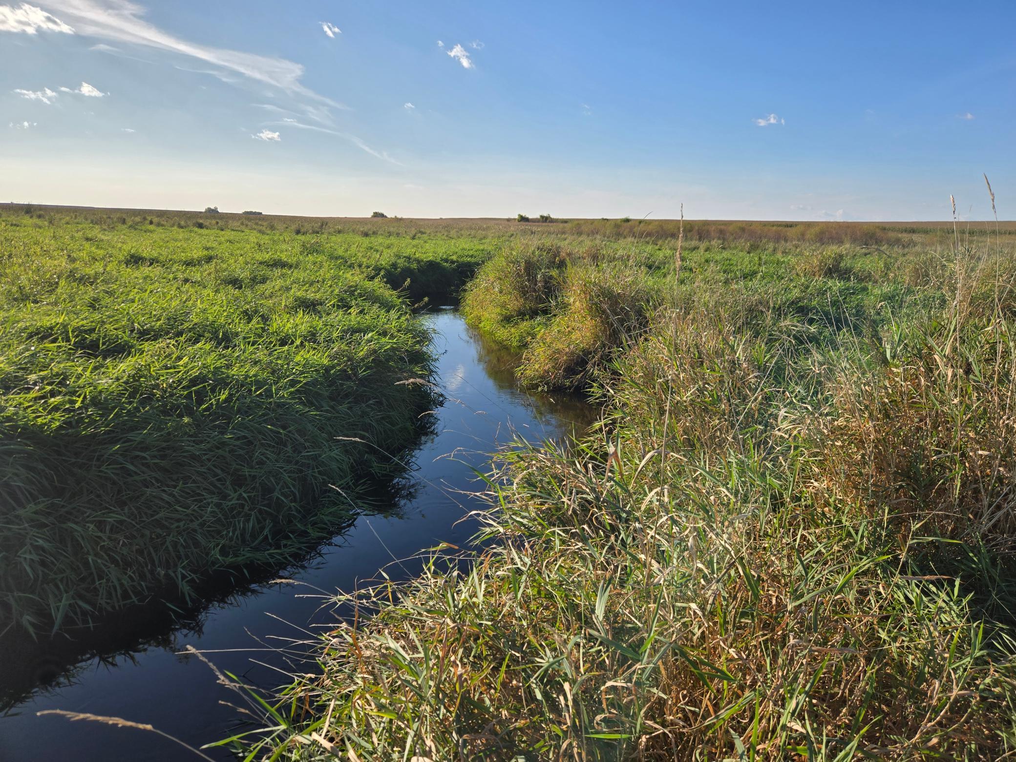 land for sale at TBD 340th Street in Ogema, MN (photo 64 of 76)
