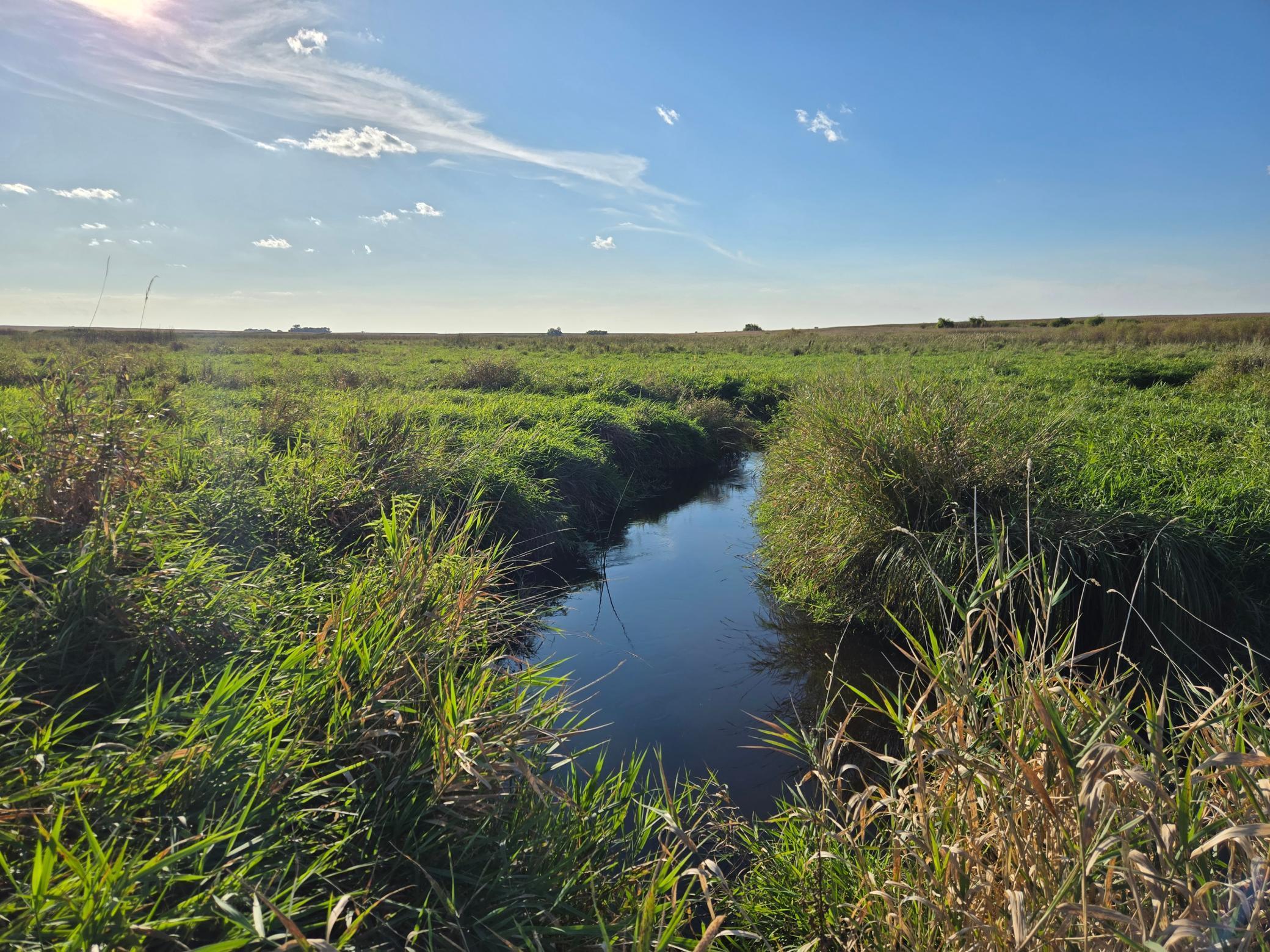 land for sale at TBD 340th Street in Ogema, MN (photo 66 of 76)