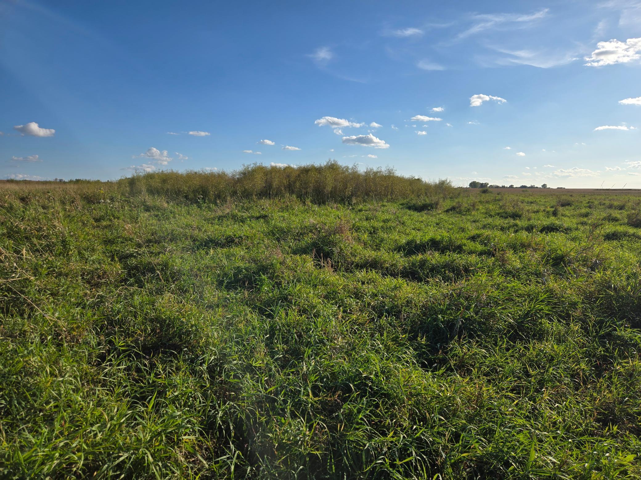 land for sale at TBD 340th Street in Ogema, MN (photo 67 of 76)