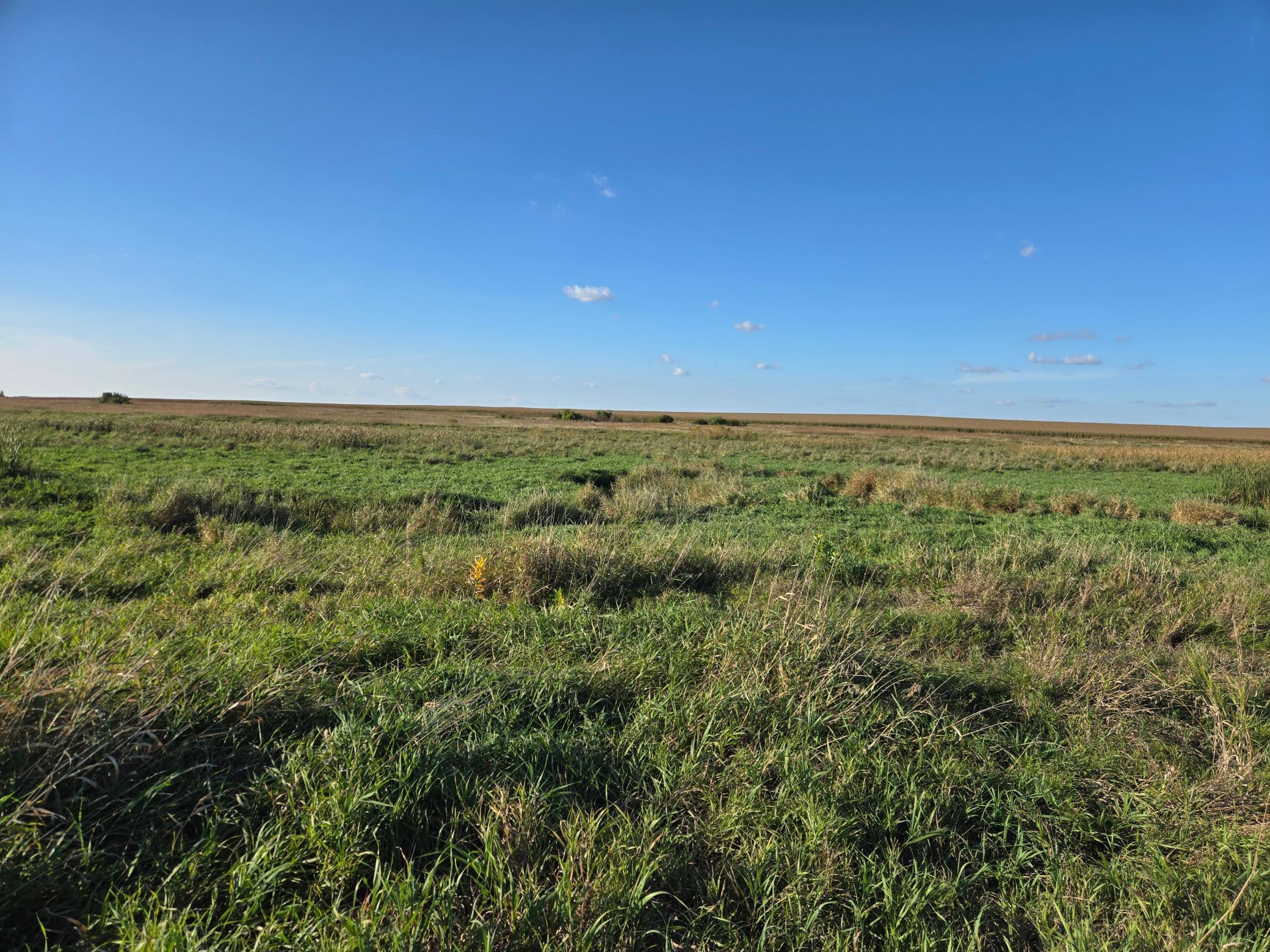land for sale at TBD 340th Street in Ogema, MN (photo 68 of 76)