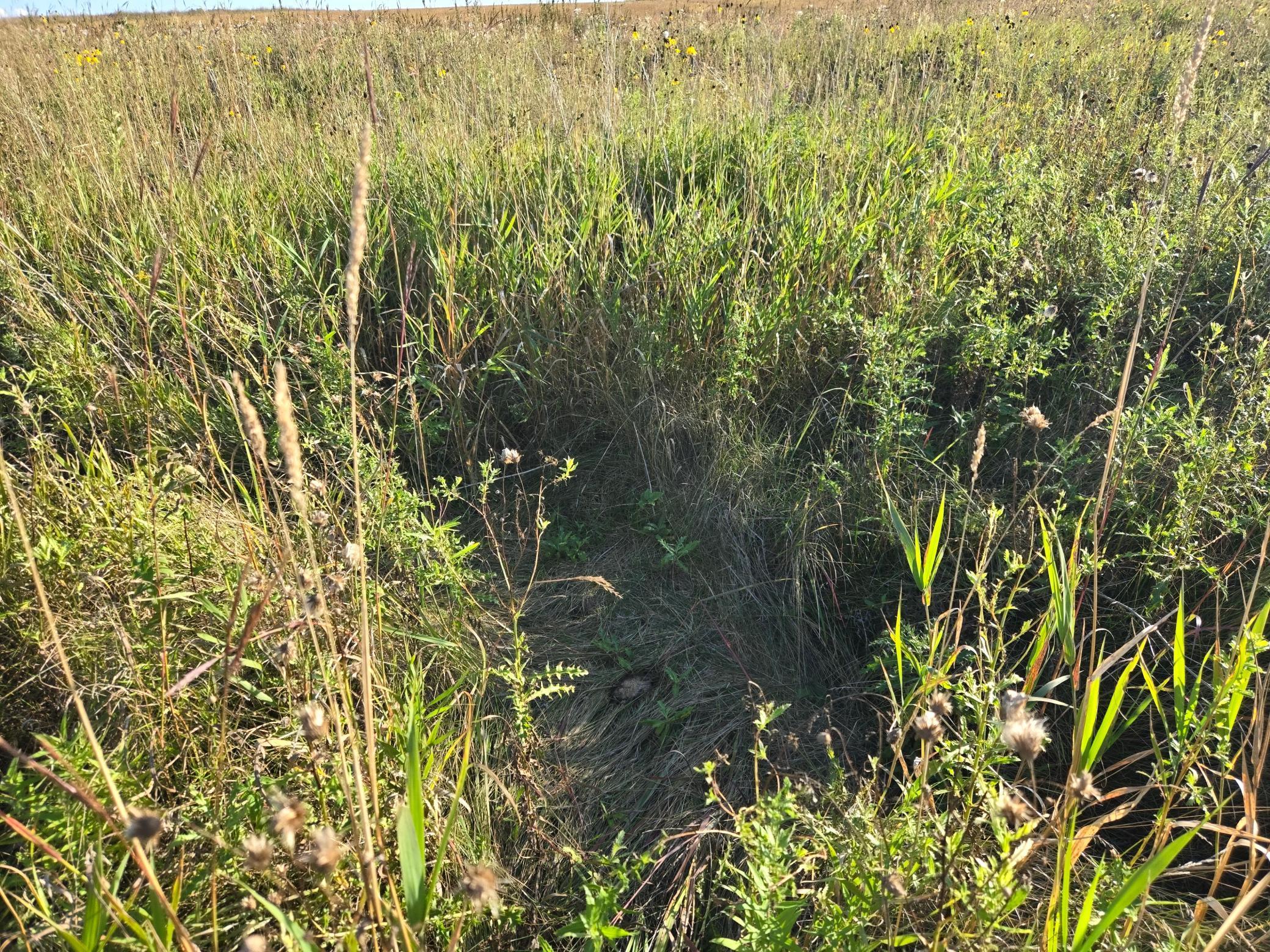 land for sale at TBD 340th Street in Ogema, MN (photo 69 of 76)