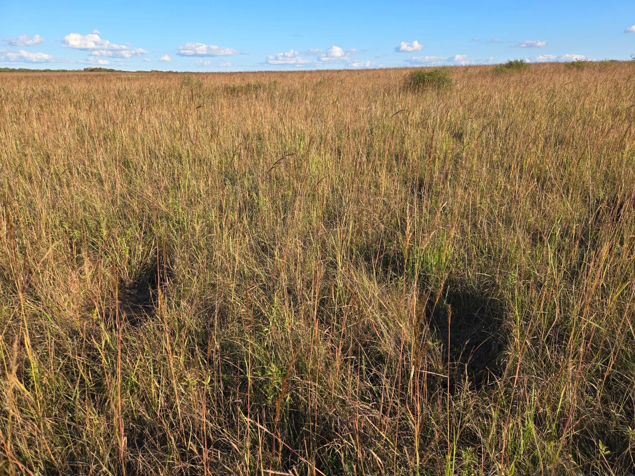 land for sale at TBD 340th Street in Ogema, MN (photo 70 of 76)