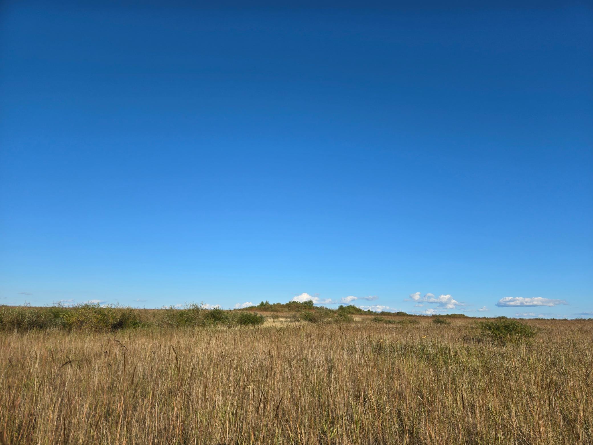land for sale at TBD 340th Street in Ogema, MN (photo 71 of 76)