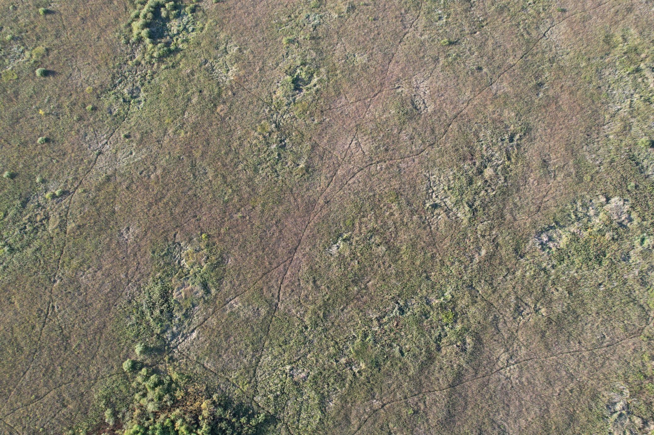 land for sale at TBD 340th Street in Ogema, MN (photo 9 of 76)