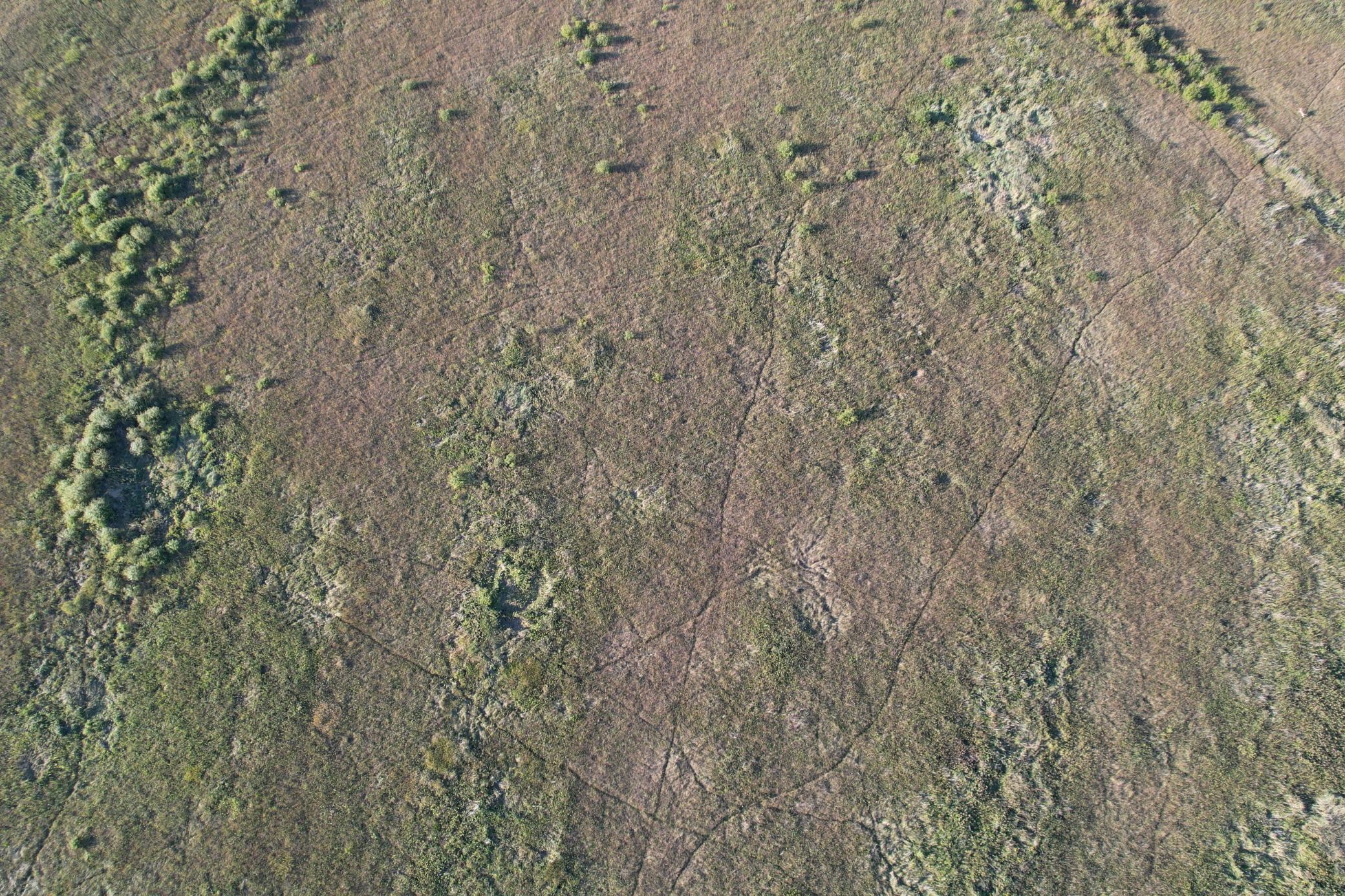land for sale at TBD 340th Street in Ogema, MN (photo 10 of 76)