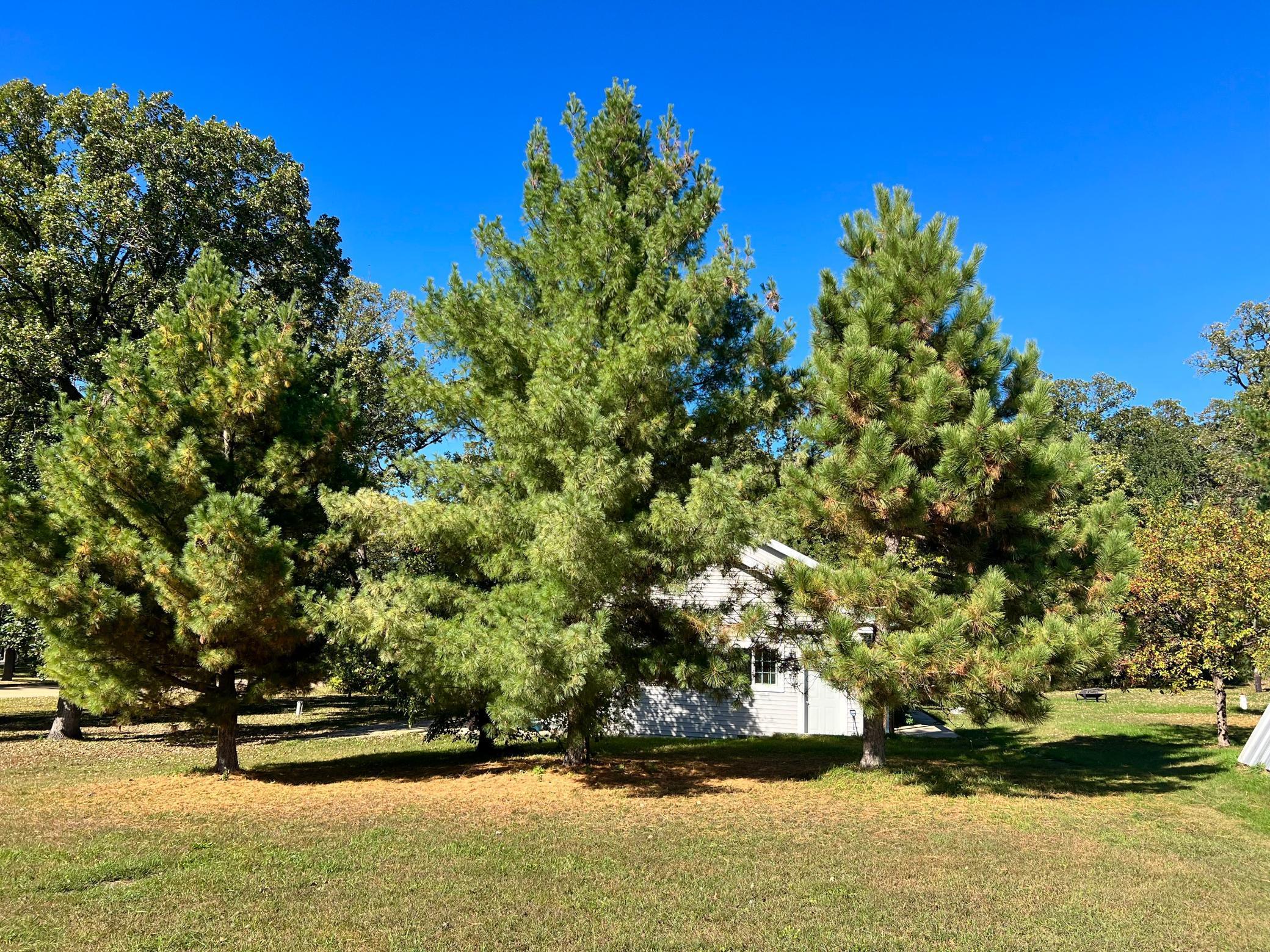 2012 single family home for sale at 208 Hilltop Road in Ottertail, MN — 3 bed, 3 bath (photo 55 of 57)