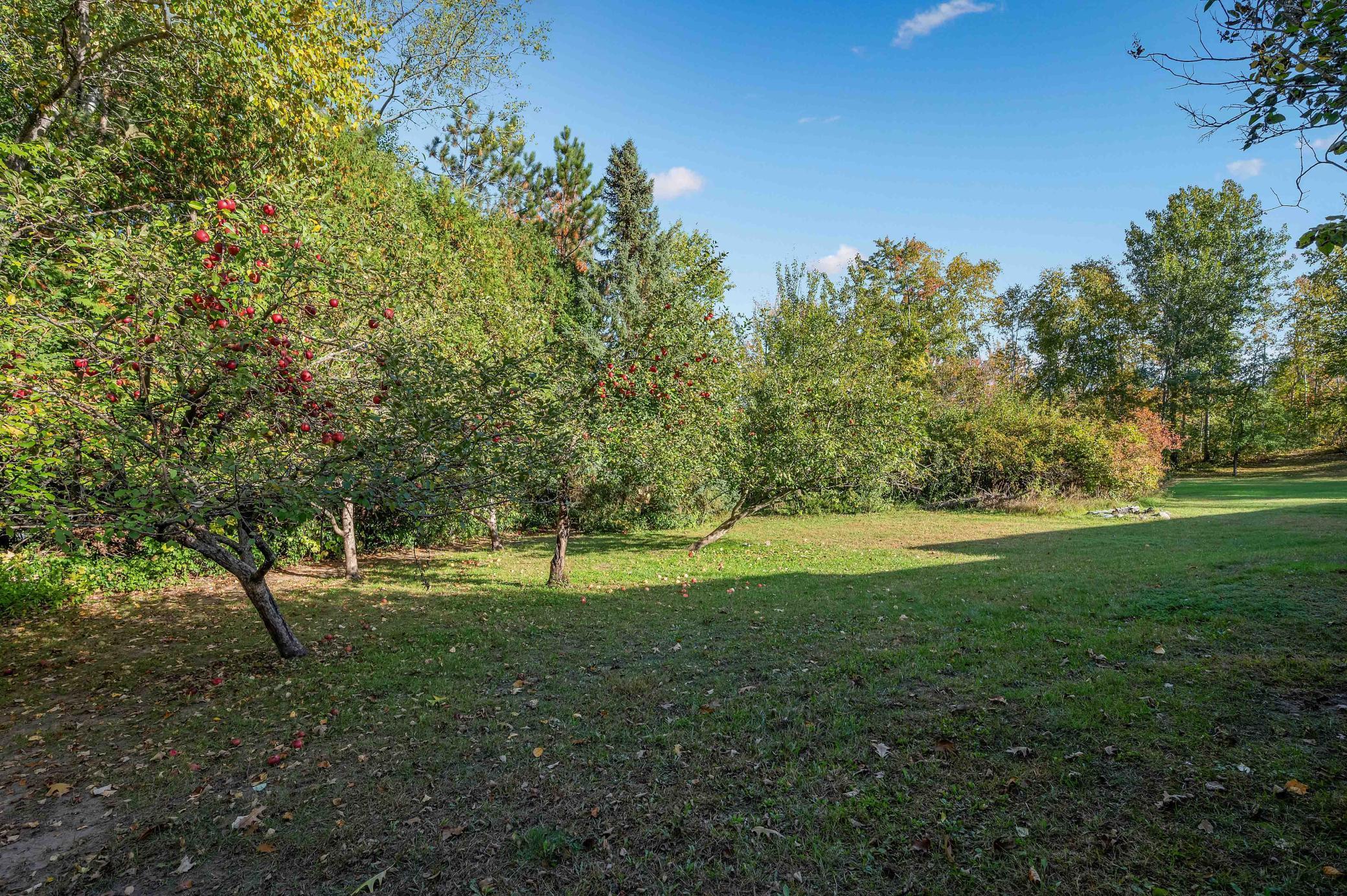 1977 single family home for sale at 1005 Horseshoe Lake Road in Grand Rapids, MN — 6 bed, 4 bath (photo 9 of 60)