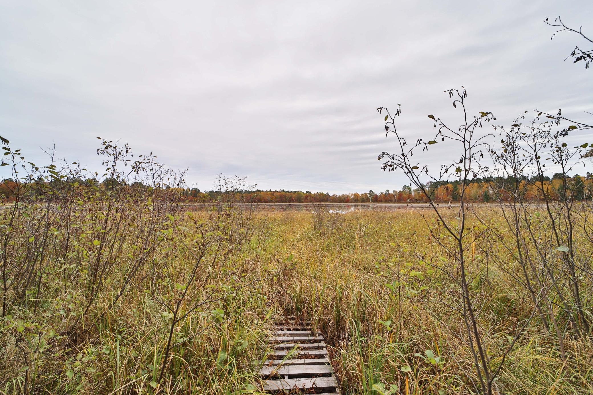 land for sale at 1022 Rock Elm Trail NW in Pine River, MN