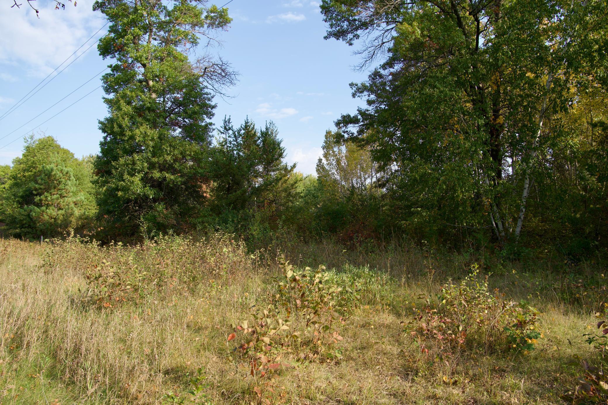 land for sale at Tract B HWY 371 in Brainerd, MN (photo 13 of 17)