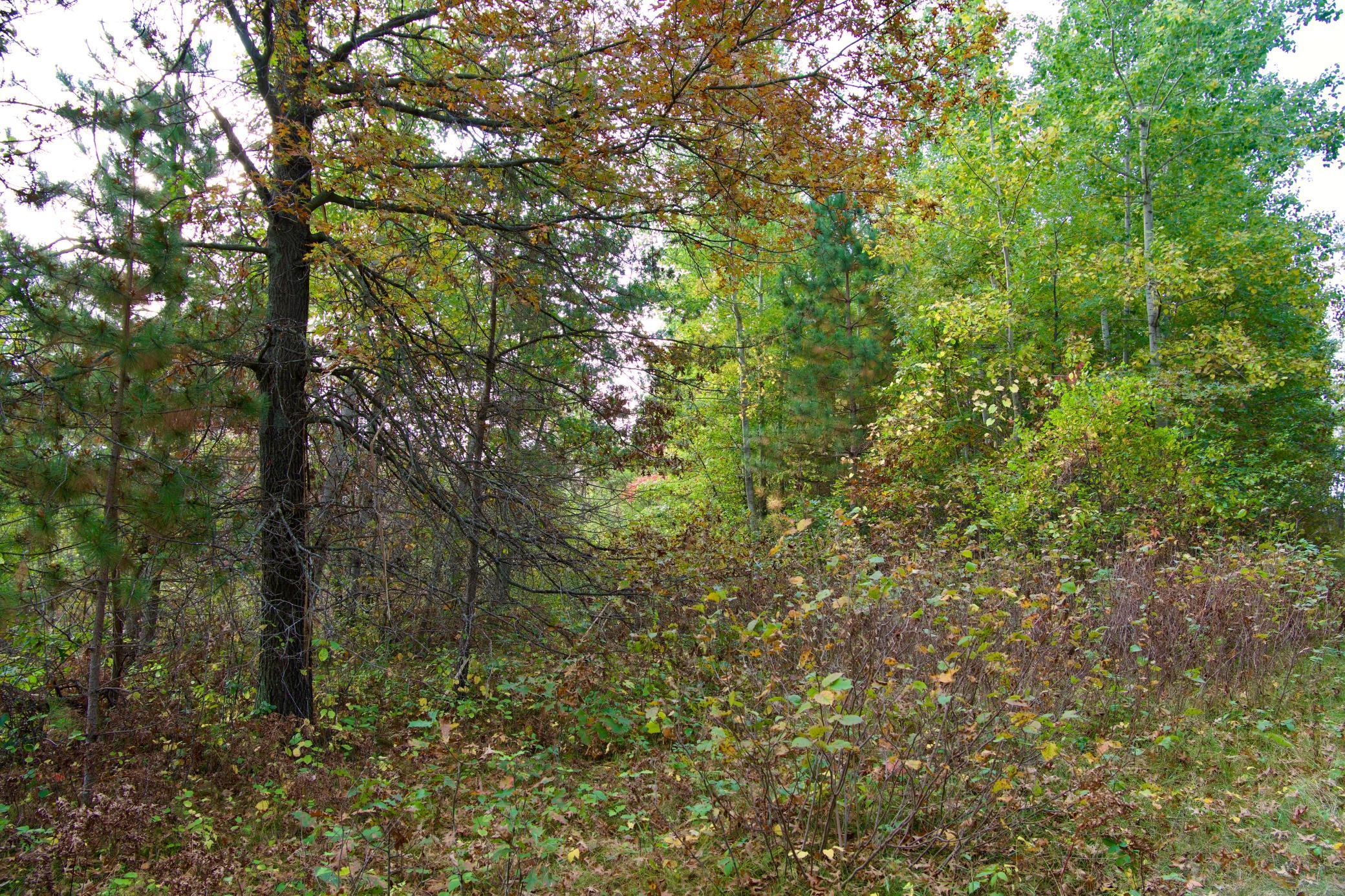 land for sale at Tract B HWY 371 in Brainerd, MN (photo 7 of 17)